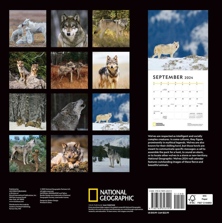 2024 Wolves: National Geographic - Square Wall Calendar