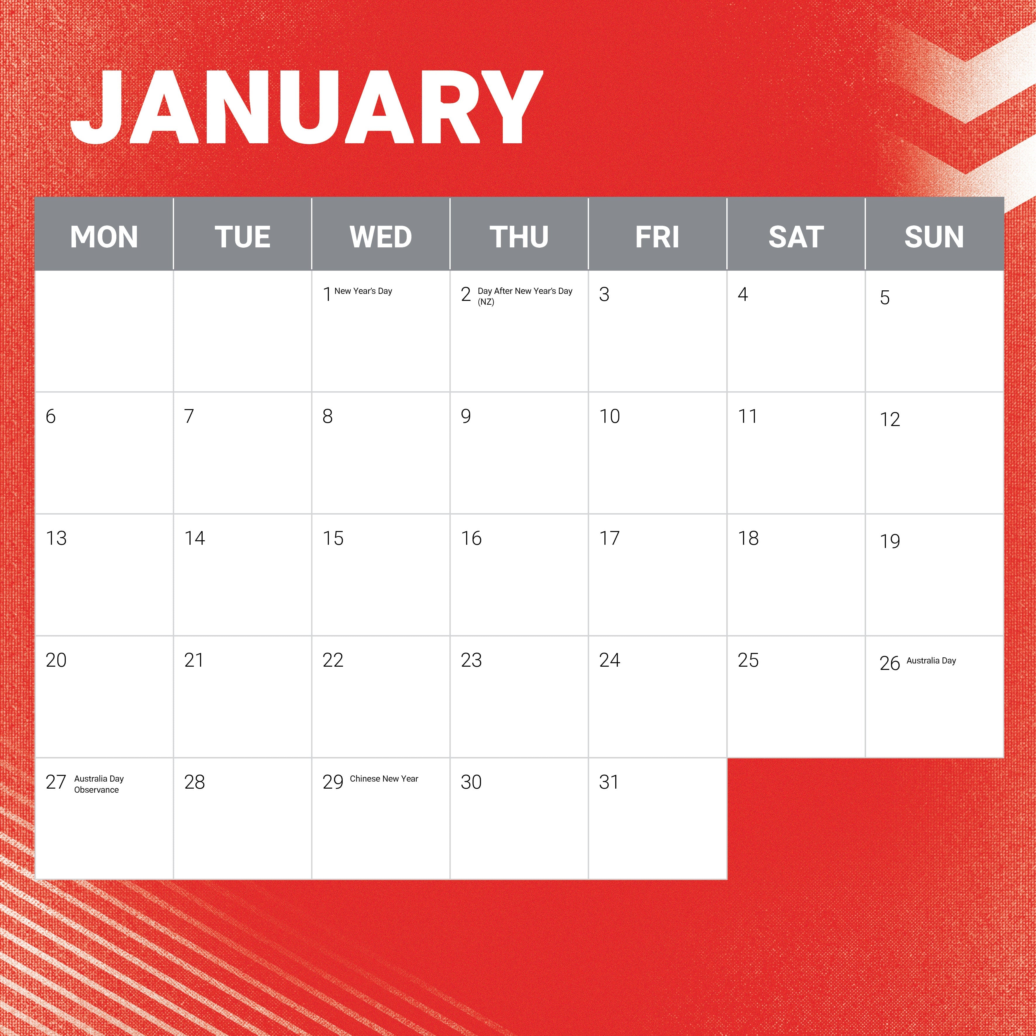 2025 NRL St George Illawarra Dragons - Square Wall Calendar