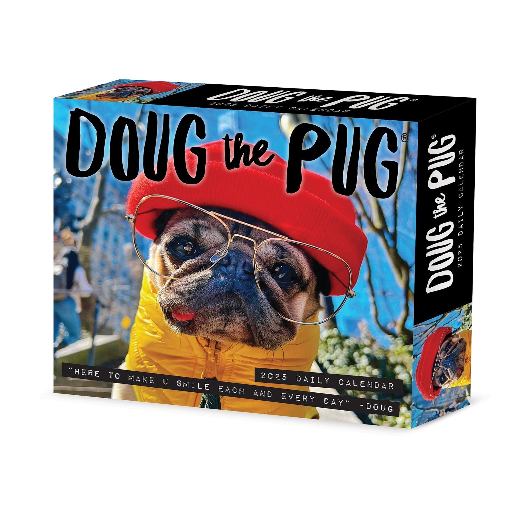 2025 Doug the Pug - USA - Daily Boxed Page-A-Day Calendar