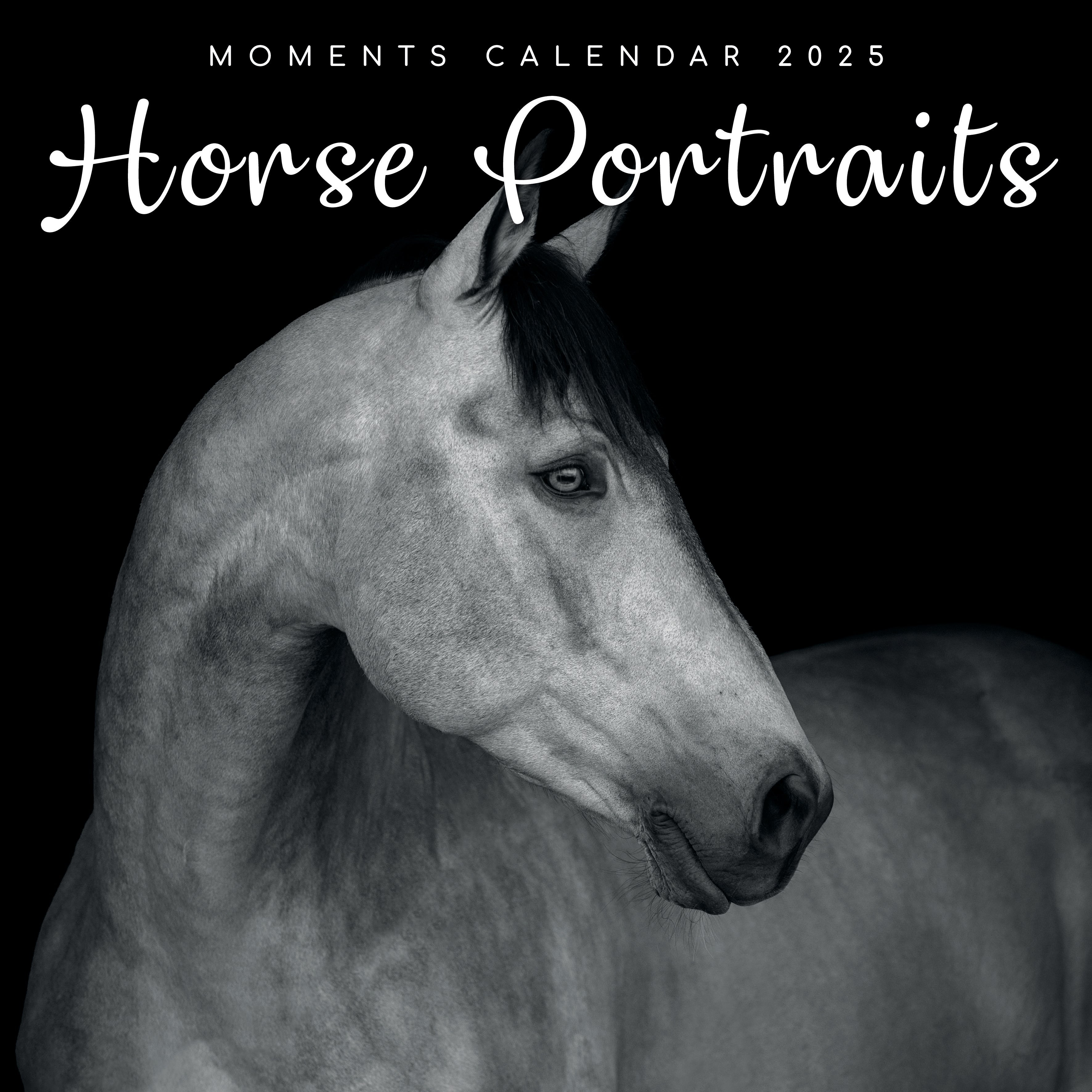 2025 Horse Portraits - Square Wall Calendar