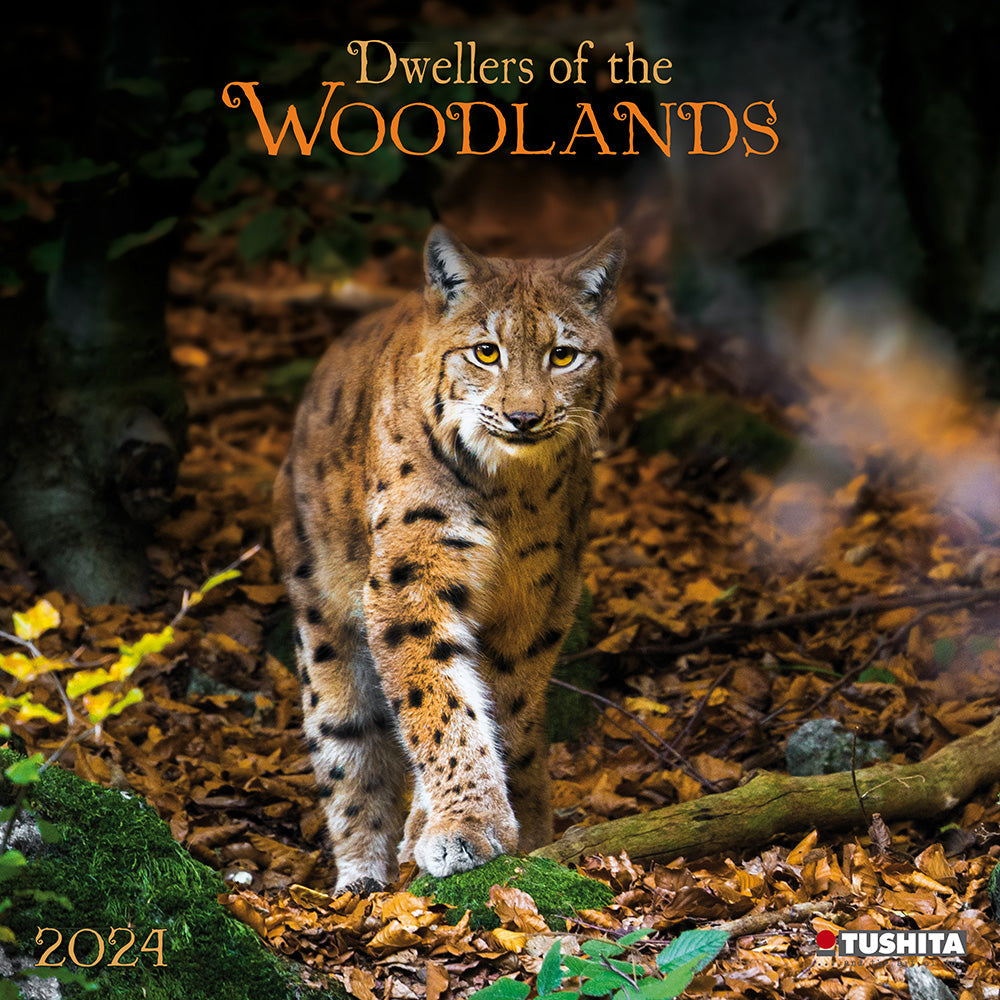 2024 Woodlands Square Wall Calendar Animals Wildlife Calendars   3c6c9a14a44a2725fbcd2410eae05ae4 