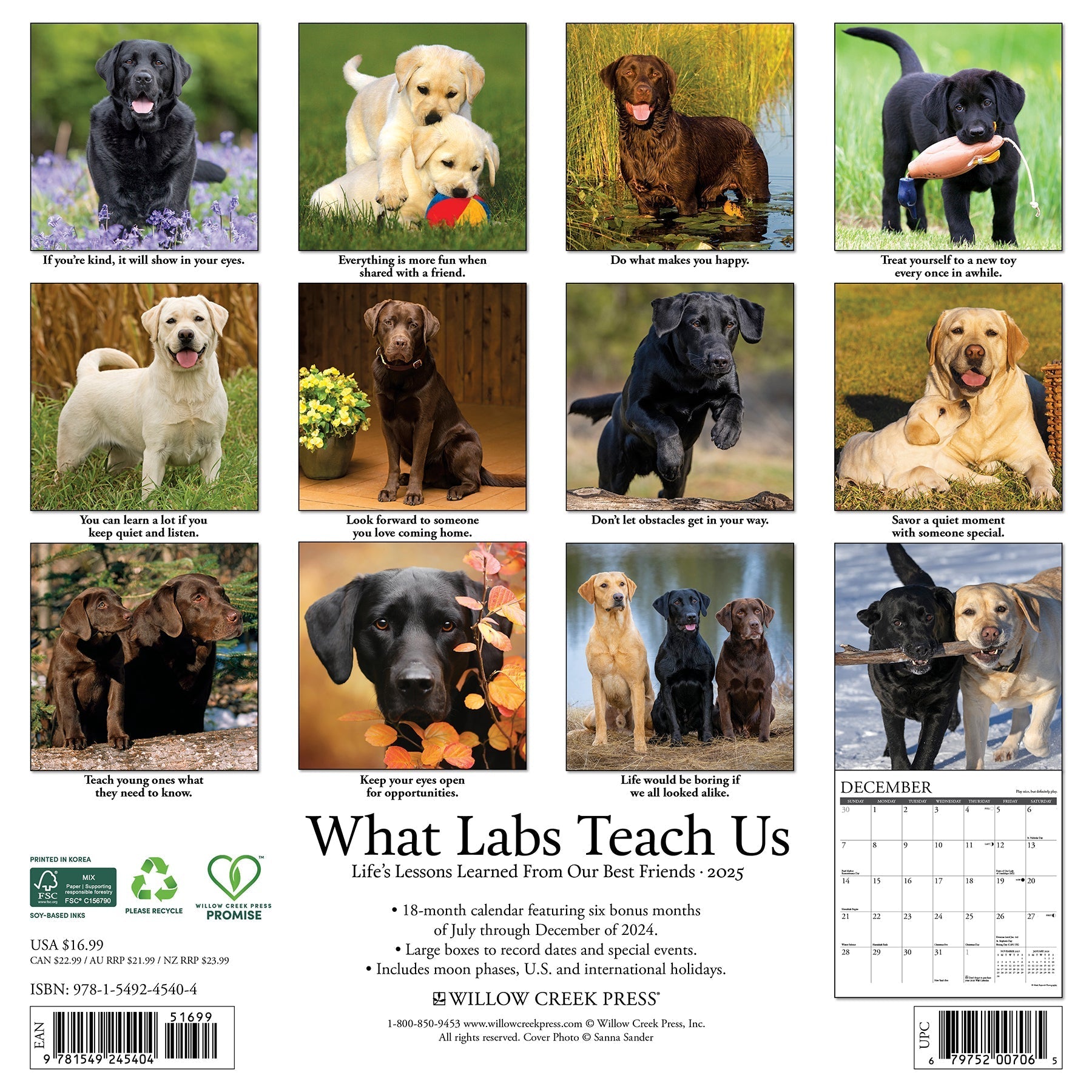 2025 What Labs Teach Us - Square Wall Calendar