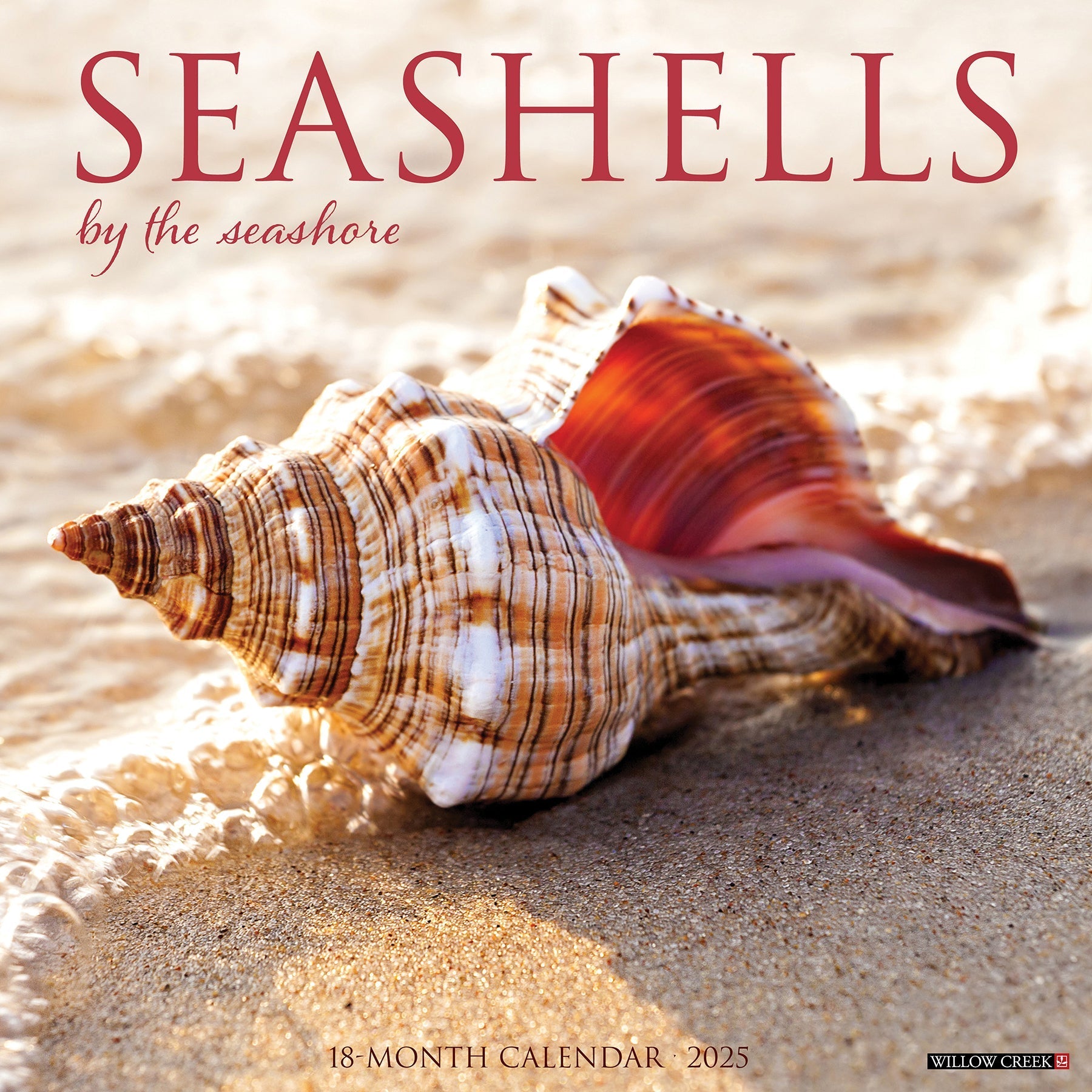 2025 Seashells - Square Wall Calendar