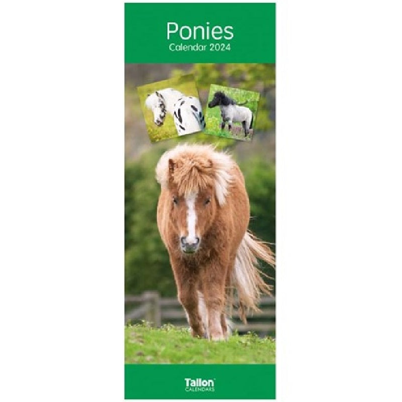 2024 Ponies Super Slim Wall Calendar   4249e9023df40fa8d93f3e8132fcd0d5 