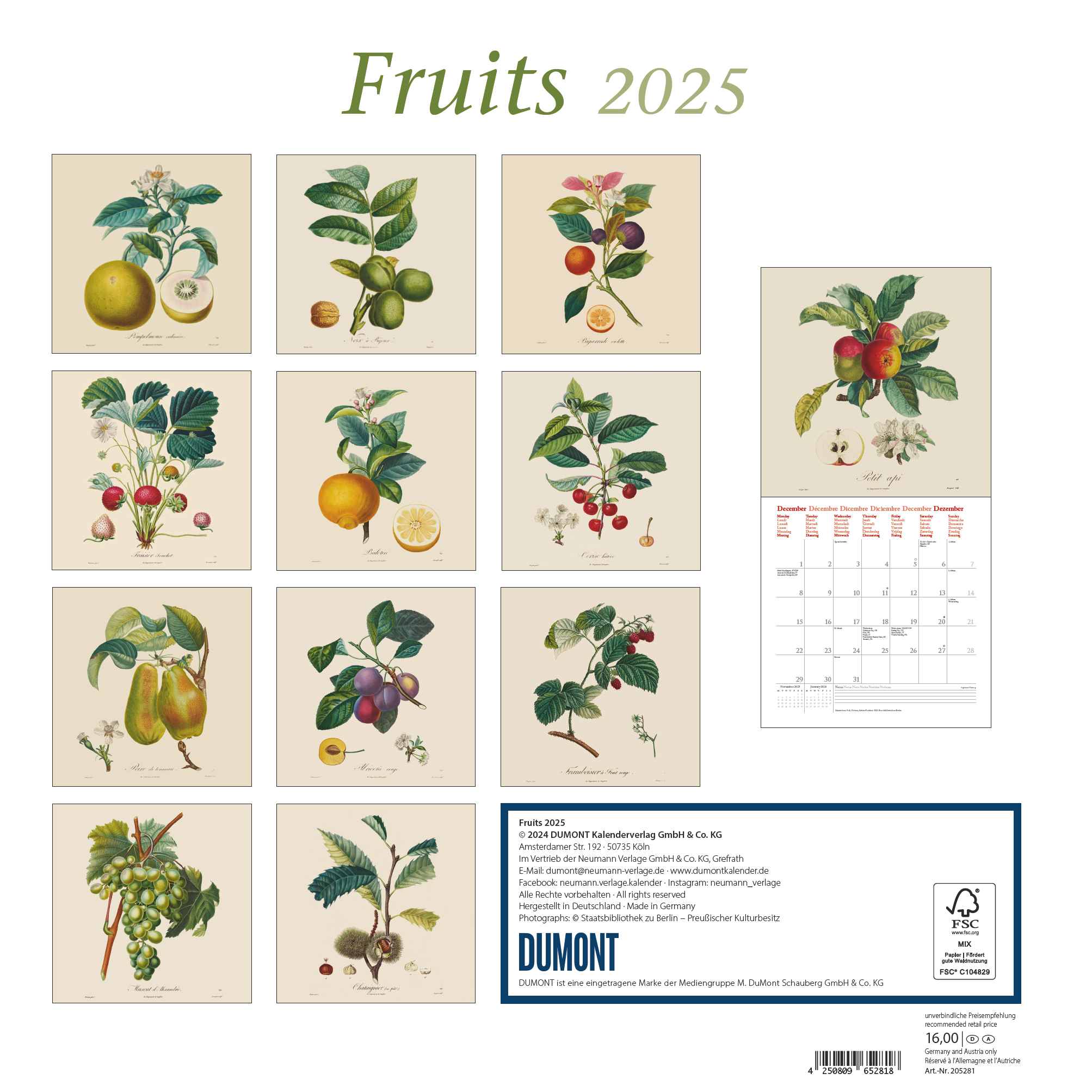 2025 Fruits - Square Wall Calendar