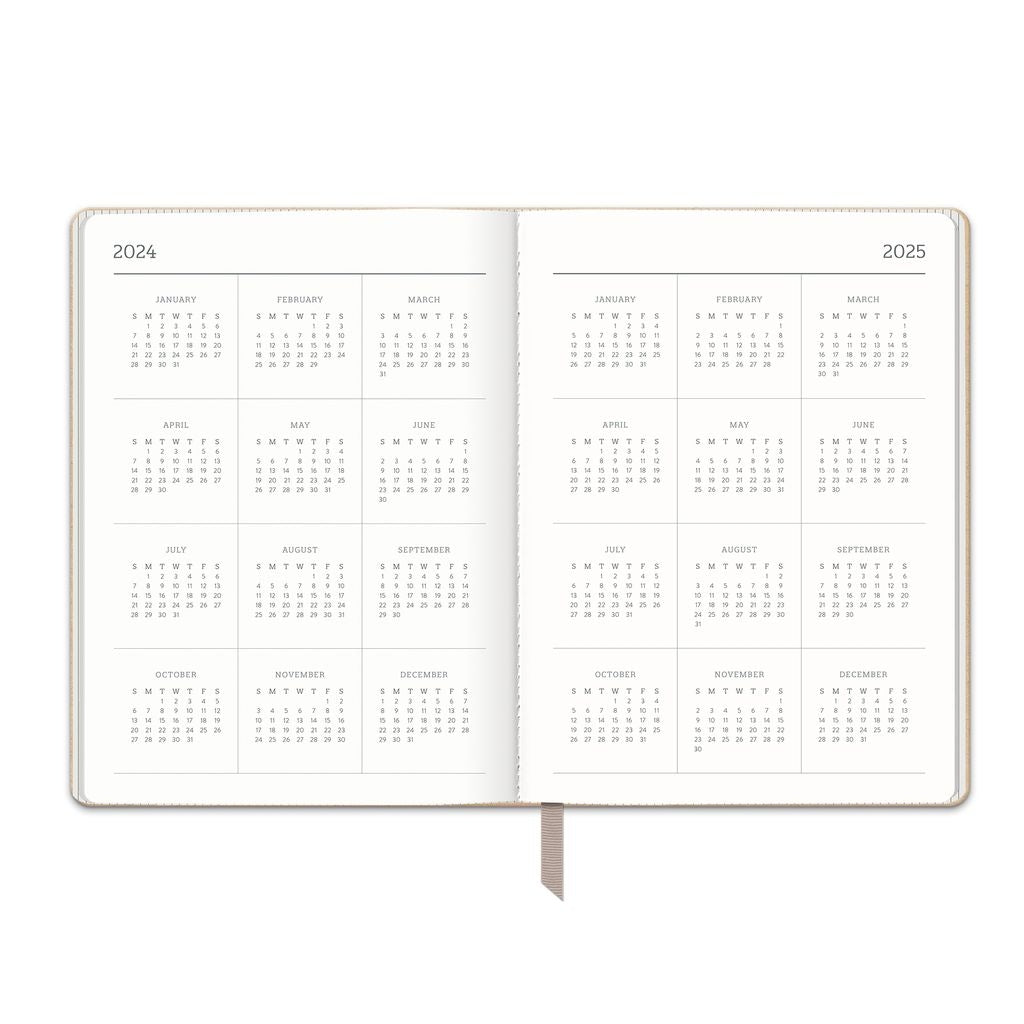 2025 Dots on Dove Gray - Large Dual-Textured Weekly & Monthly Diary/Planner