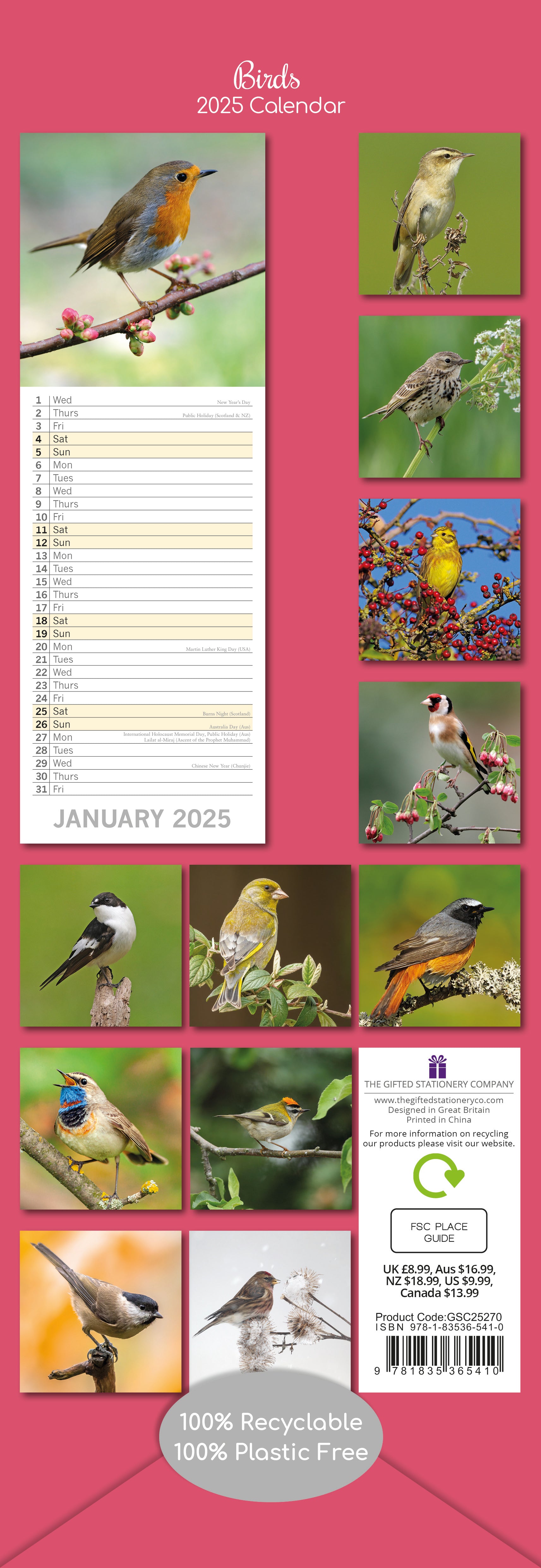 2025 Birds - Slim Wall Calendar