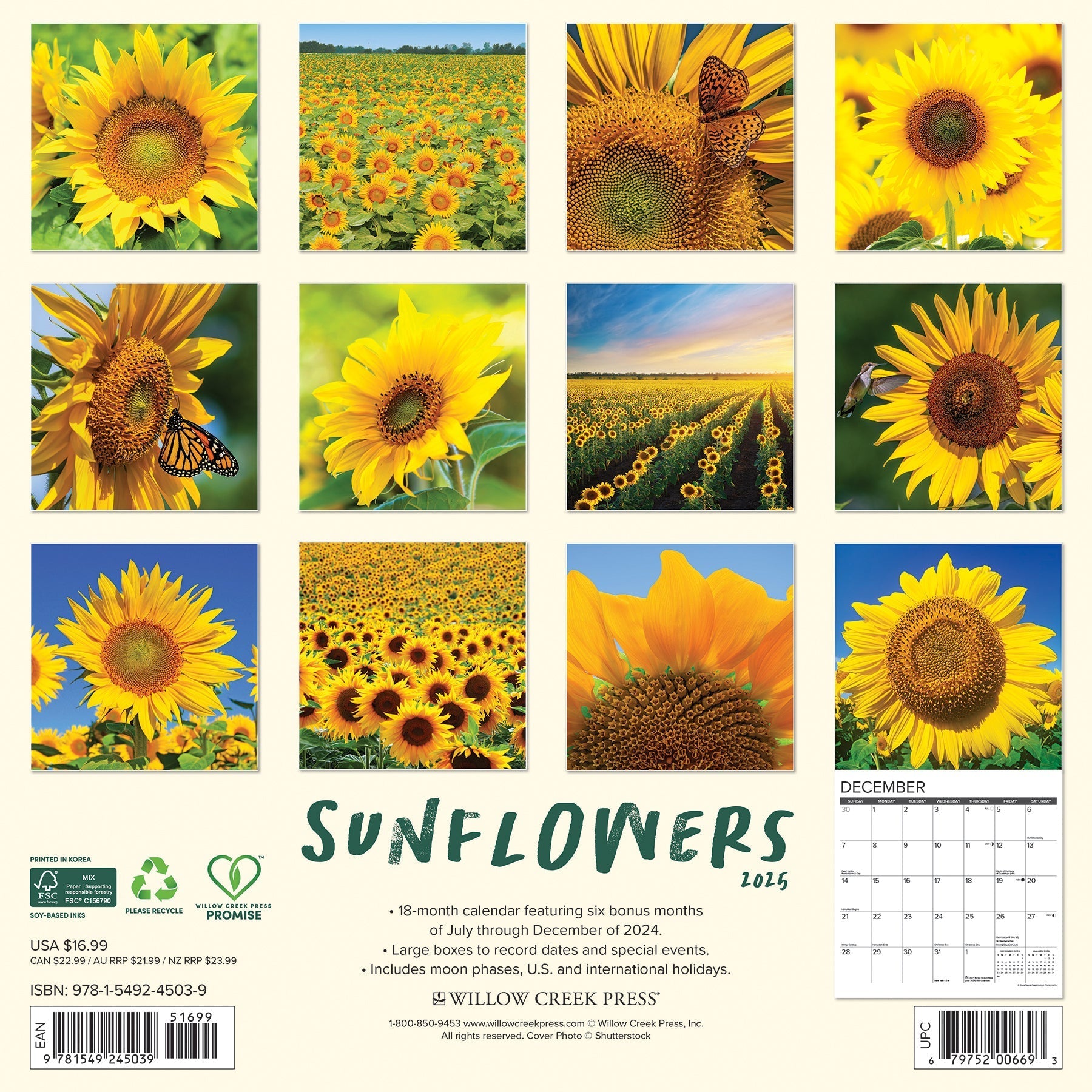 2025 Sunflowers - Square Wall Calendar