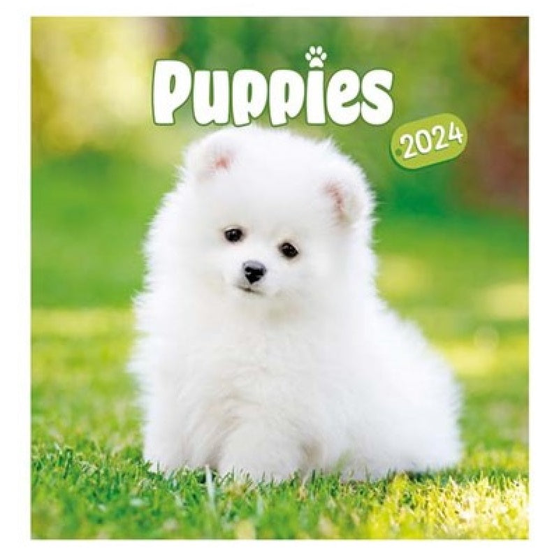 2024 Puppies - Square Wall Calendar  SOLD OUT