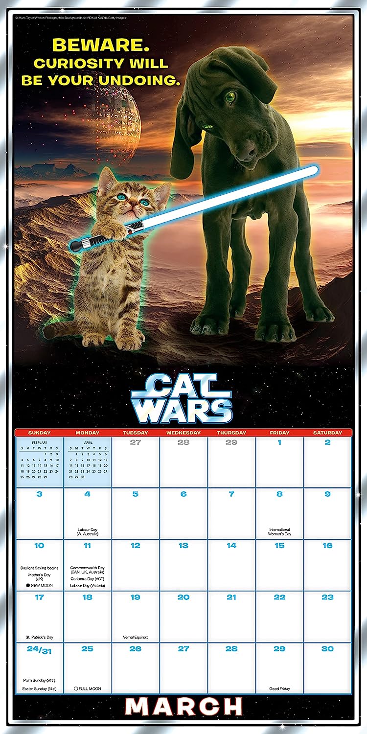 2024 Cat Wars - Square Wall Calendar  SOLD OUT