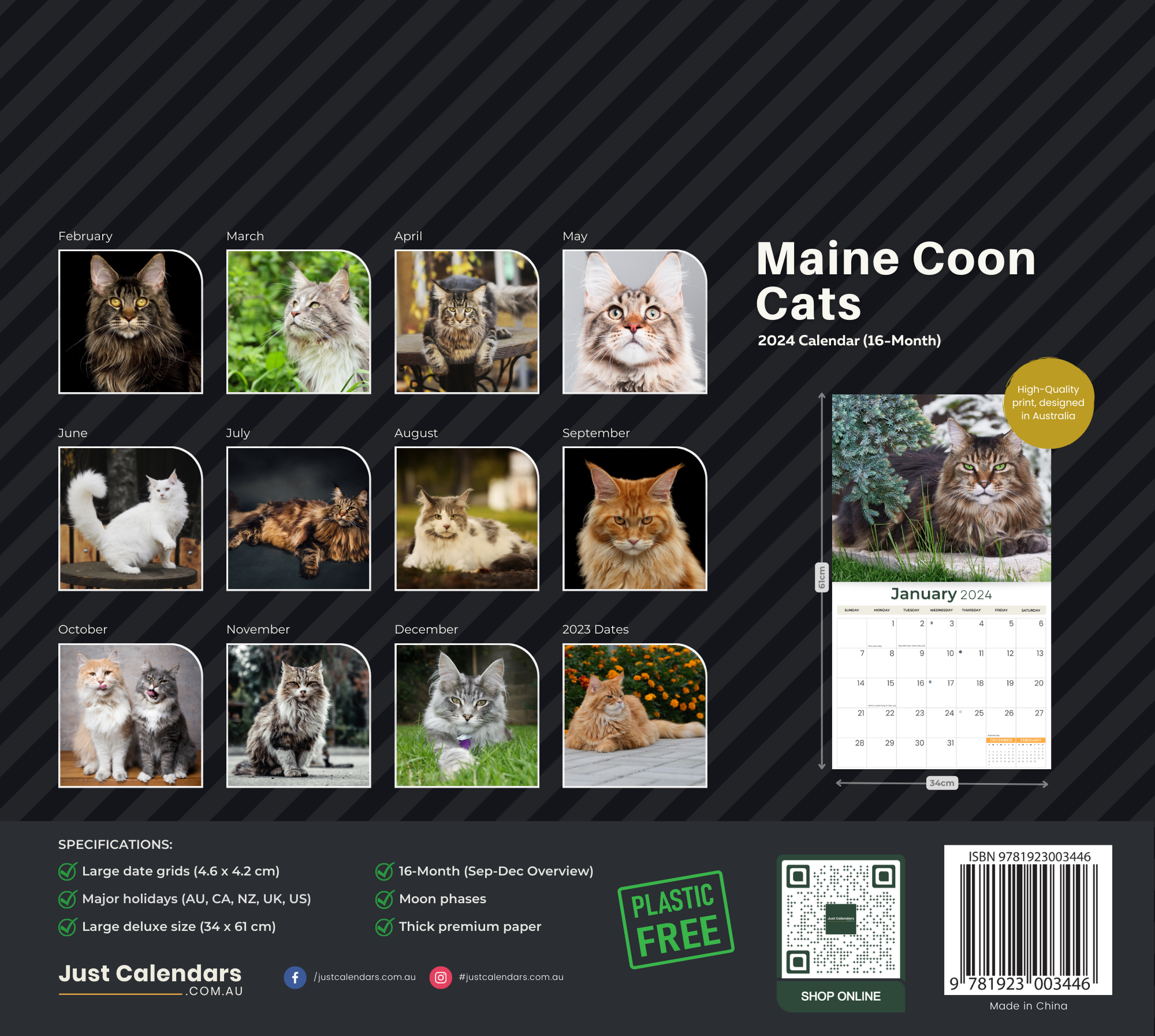 2024 Maine Coon Cats & Kittens - Deluxe Wall Calendar by Just Calendars - 16 Month - Plastic Free