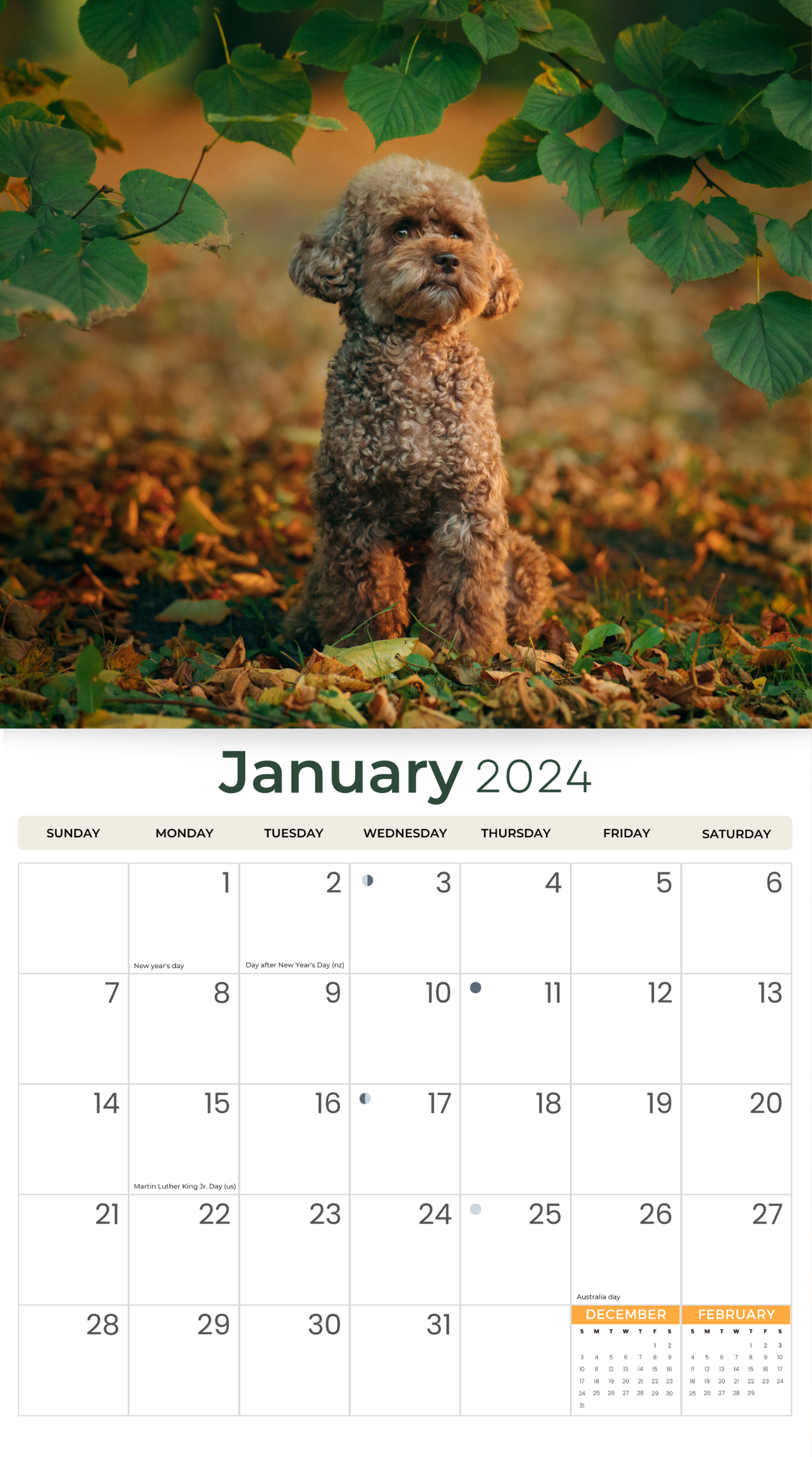 2024 Poodles Dogs & Puppies - Deluxe Wall Calendar by Just Calendars - 16 Month - Plastic Free