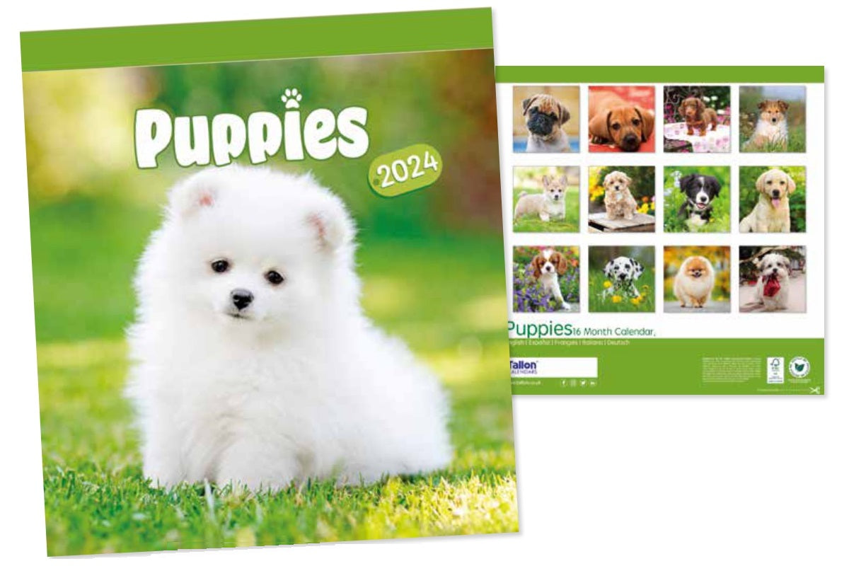 2024 Puppies - Square Wall Calendar  SOLD OUT