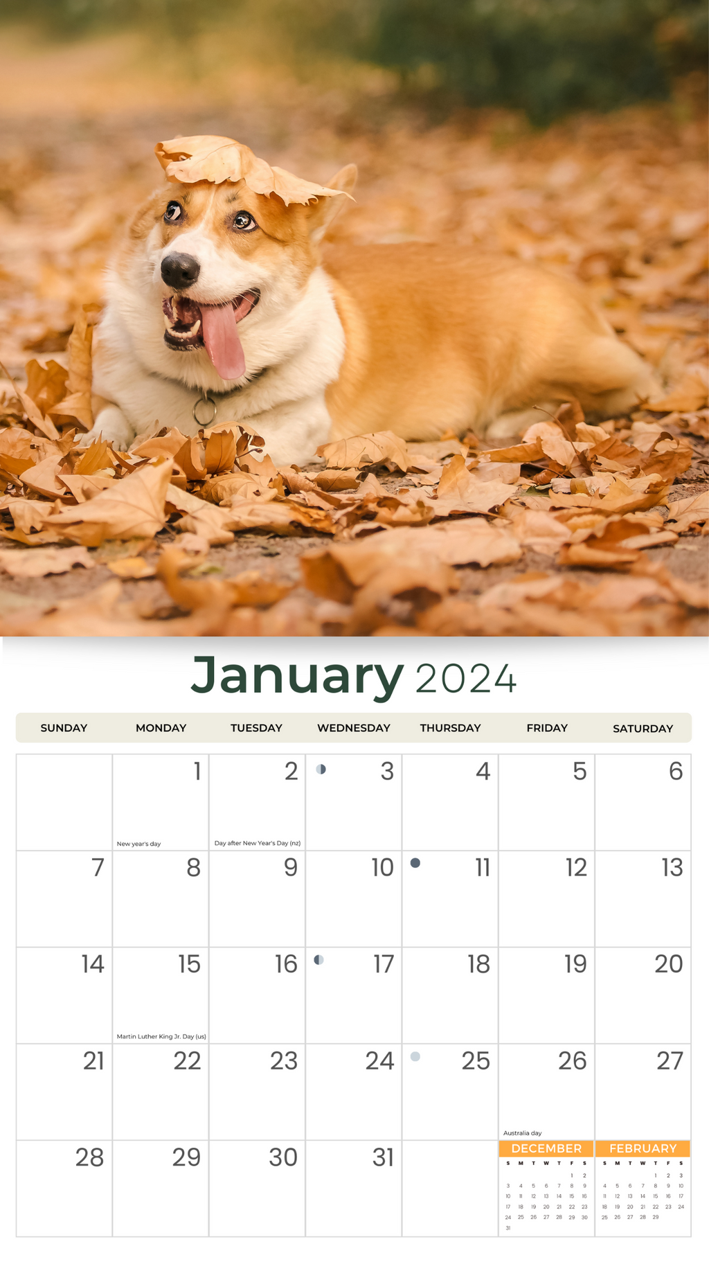 2024 Deluxe Wall Calendar Dogs & Puppies Calendars By Just
