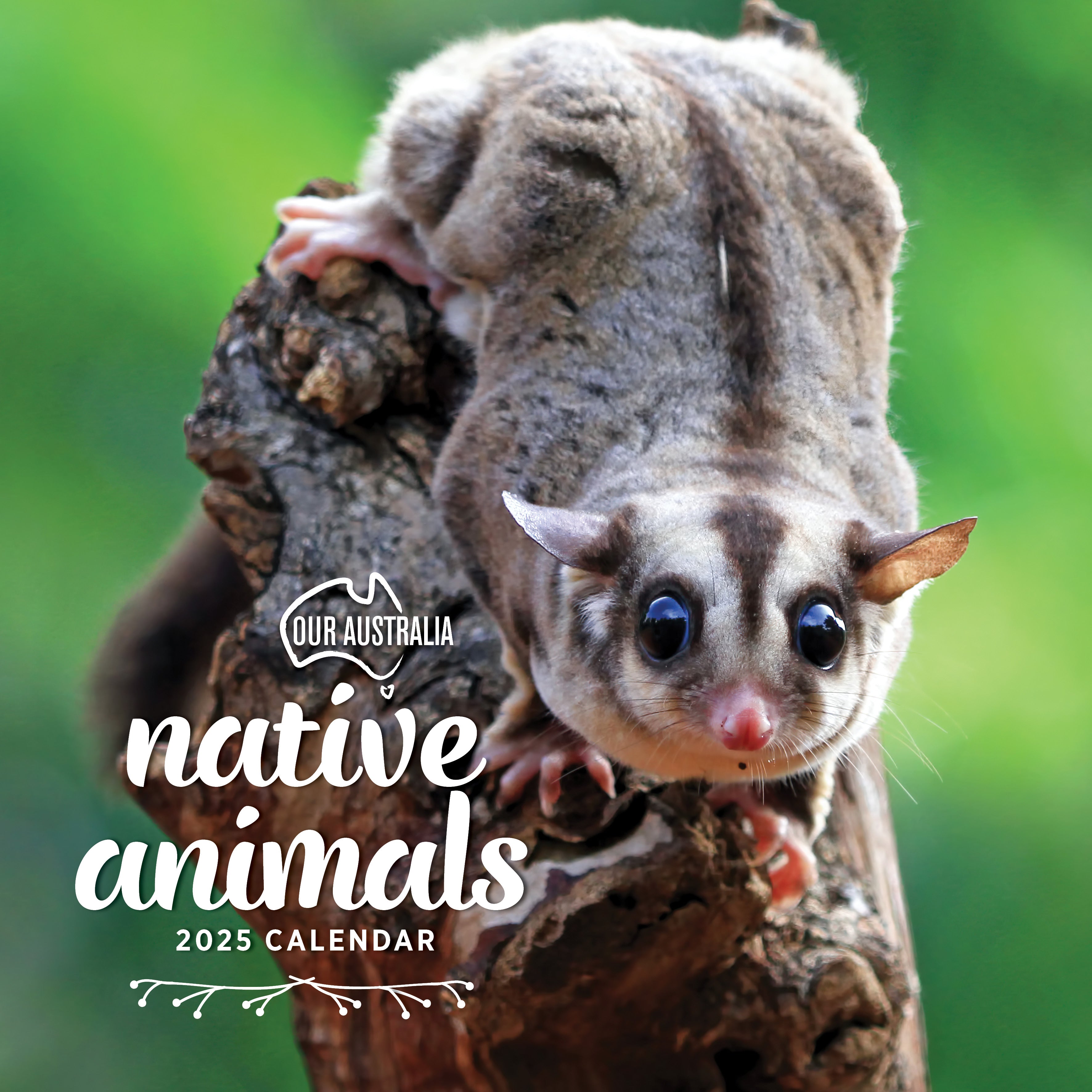 2025 Our Australia Native Animals - Square Wall Calendar