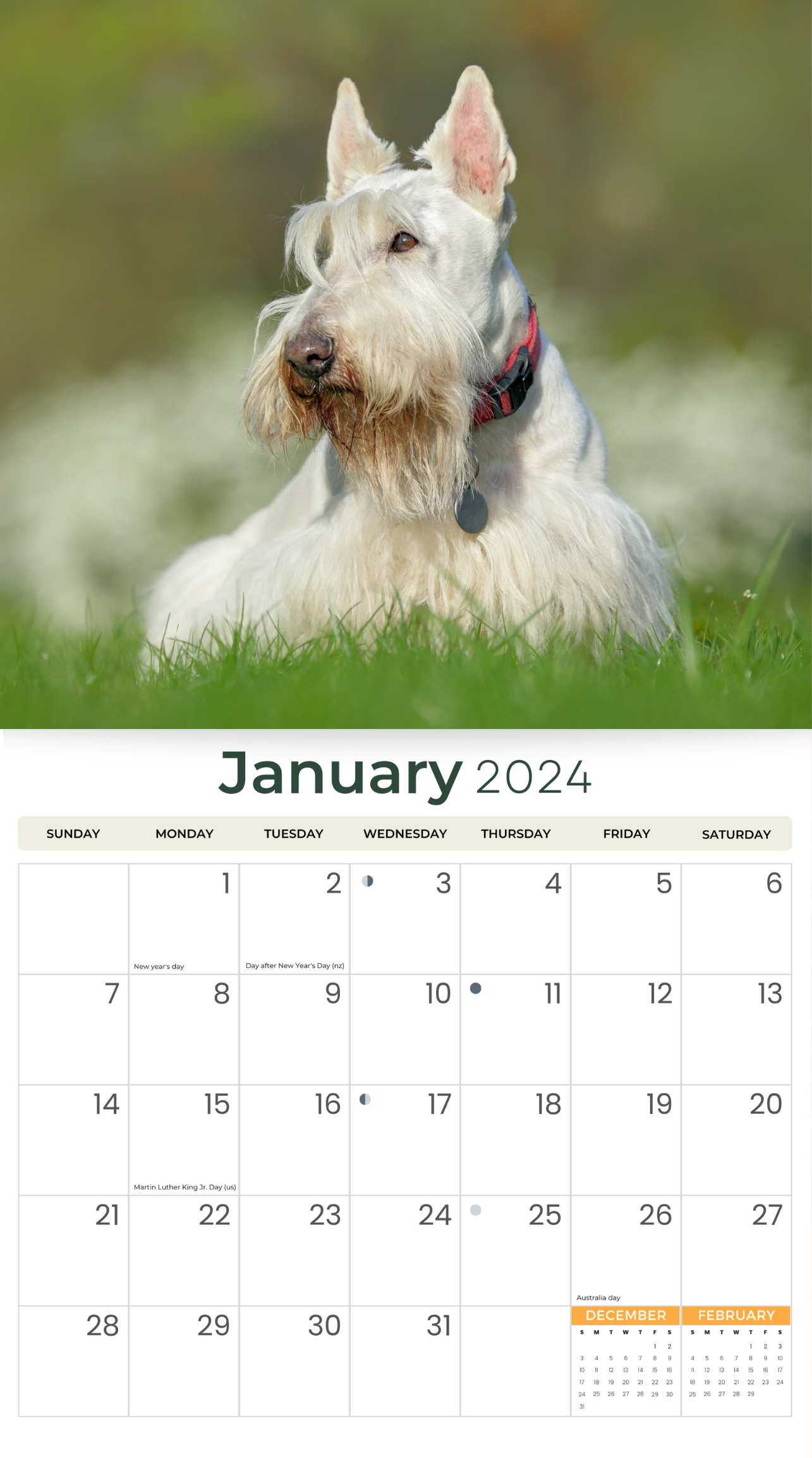 2024 Scotties (Scottish Terriers) Dogs & Puppies - Deluxe Wall Calendar by Just Calendars - 16 Month - Plastic Free