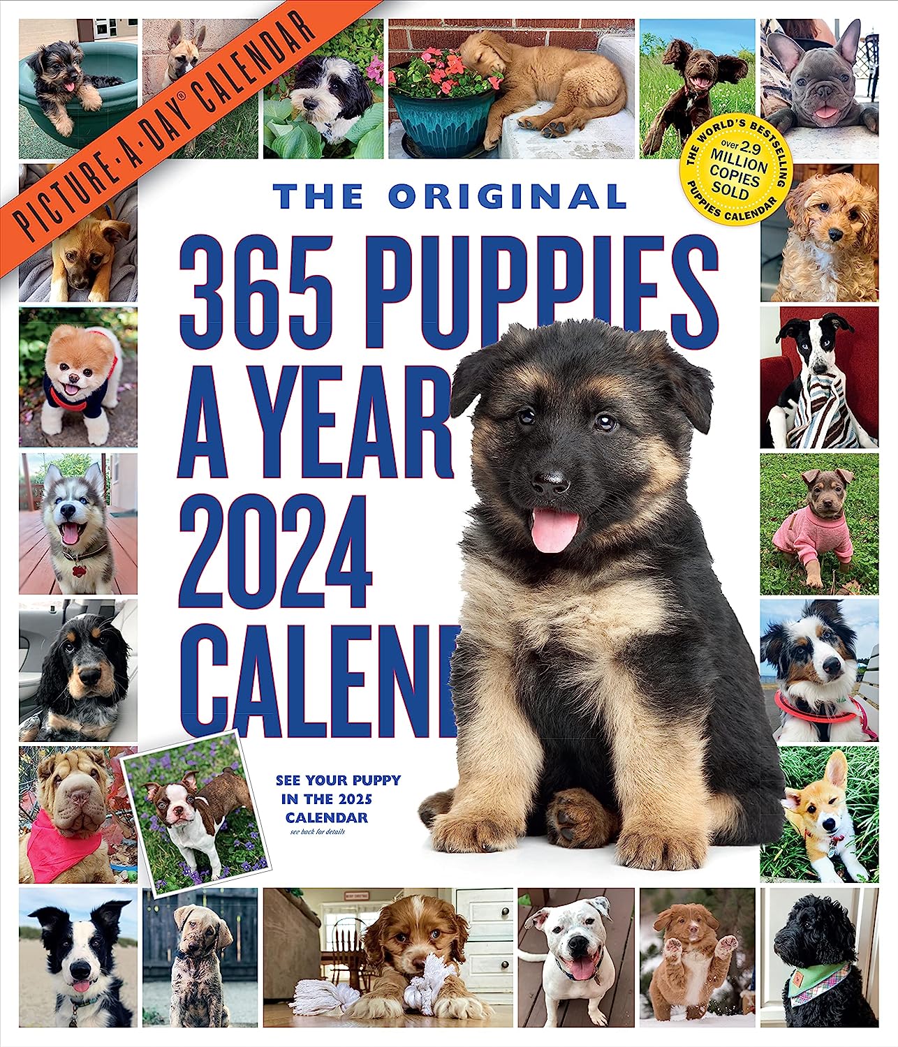 2024 365 Puppies-A-Year - Deluxe Wall Calendar  SOLD OUT