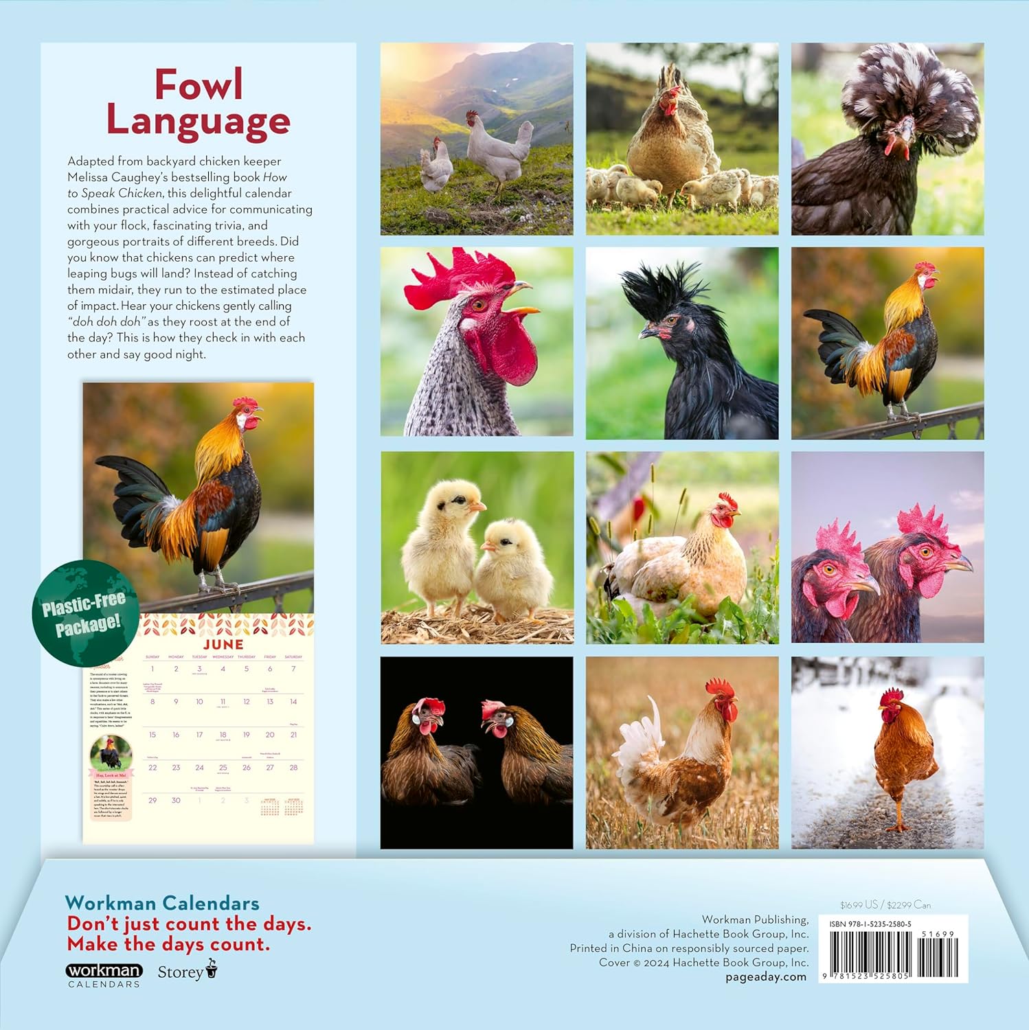2025 How to Speak Chicken - Square Wall Calendar