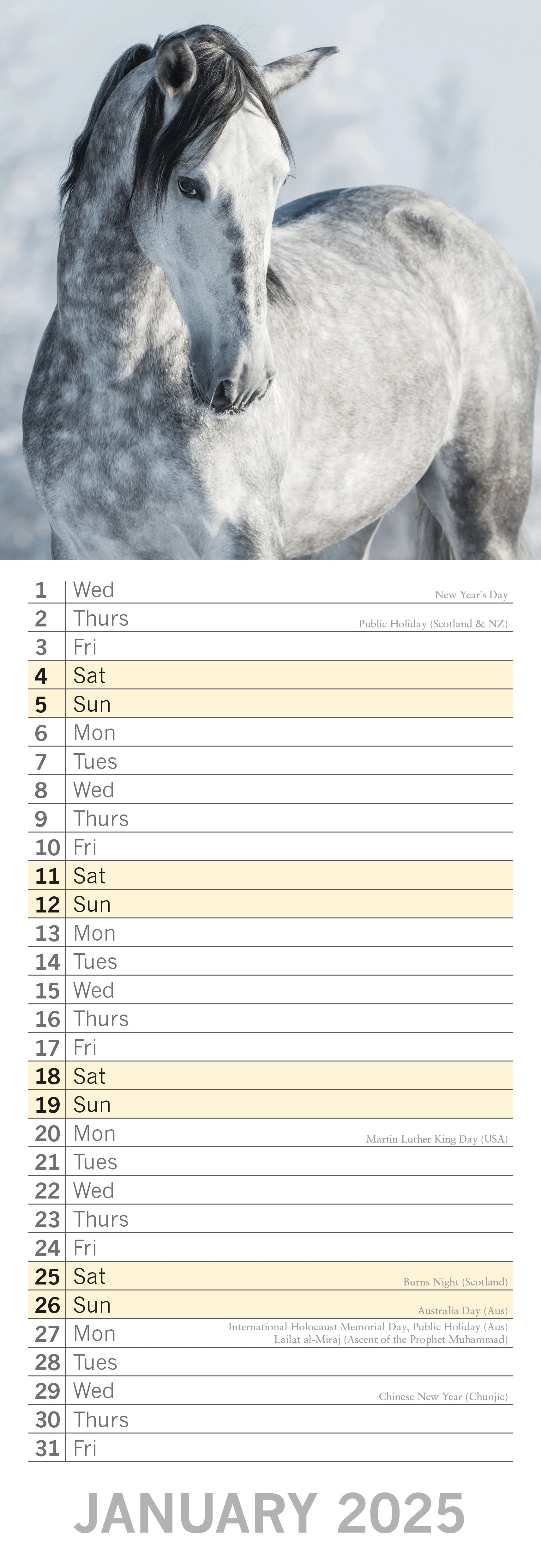 2025 Horses - Slim Wall Calendar