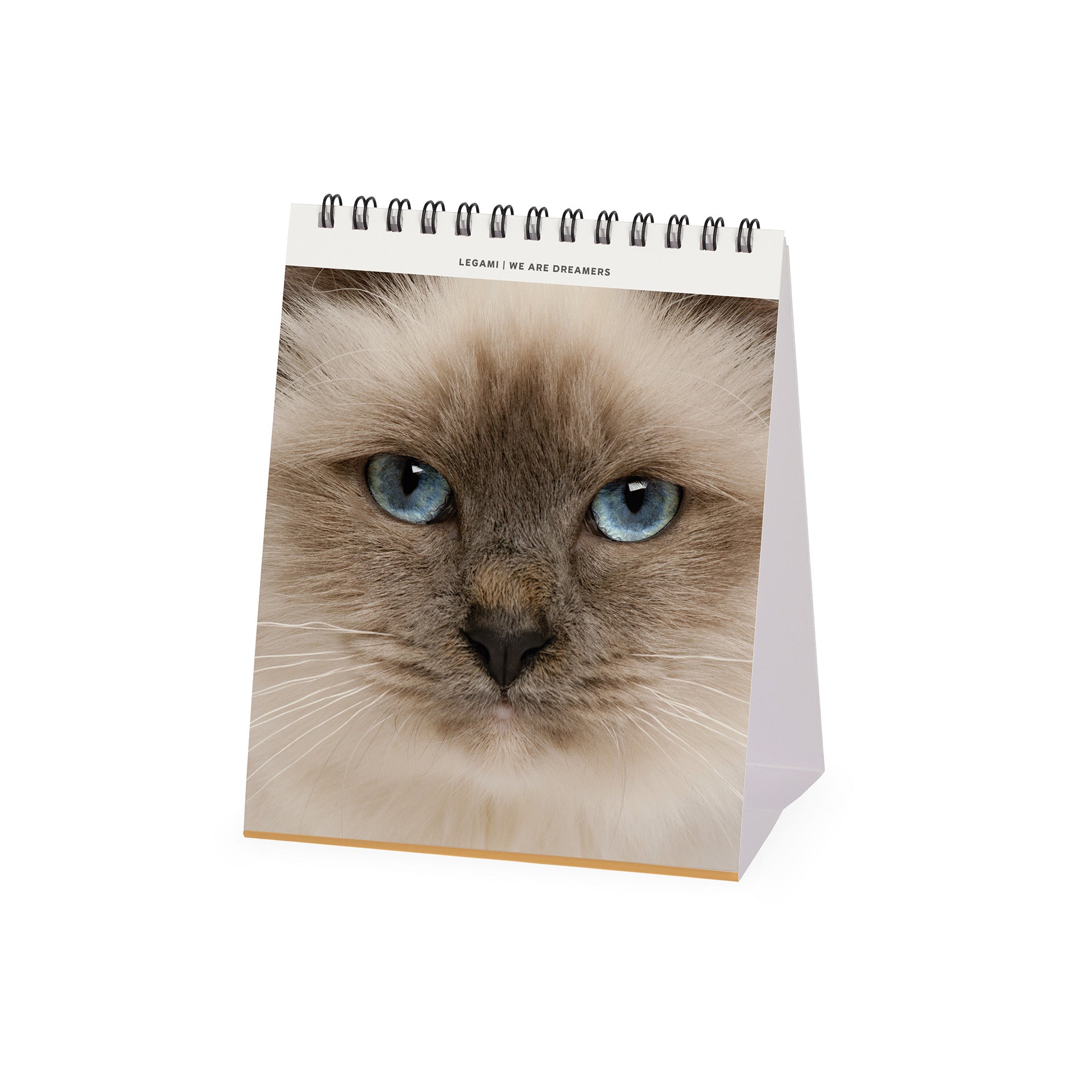 2025 Cats by Legami - Desk Easel Calendar