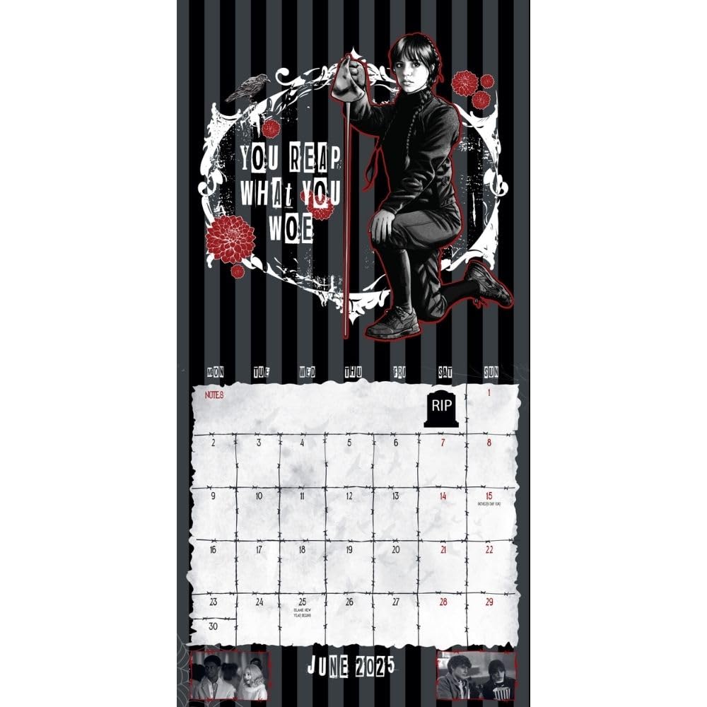 2025 Wednesday - Square Wall Calendar