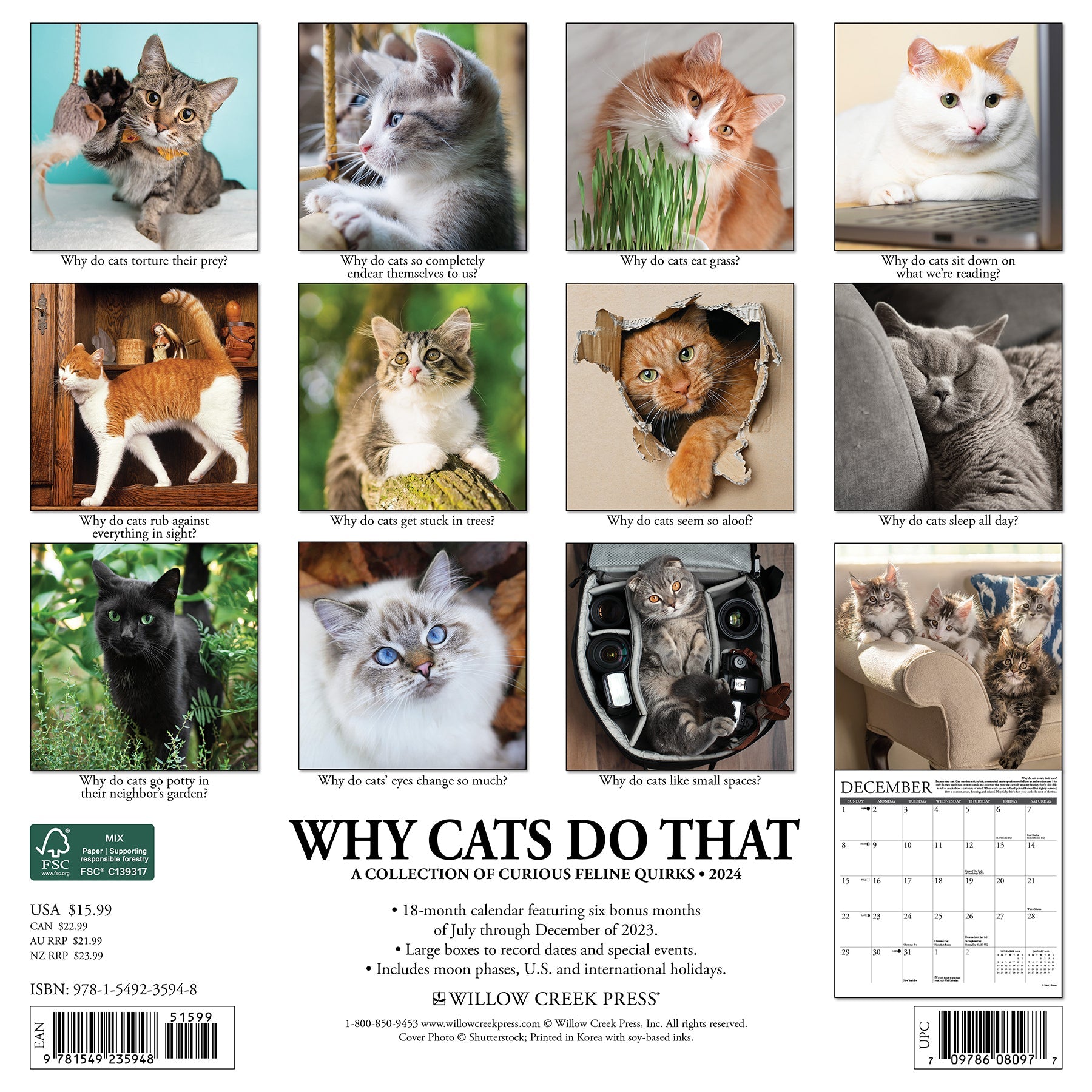 2024 Why Cats Do That - Square Wall Calendar - Cats & Kittens