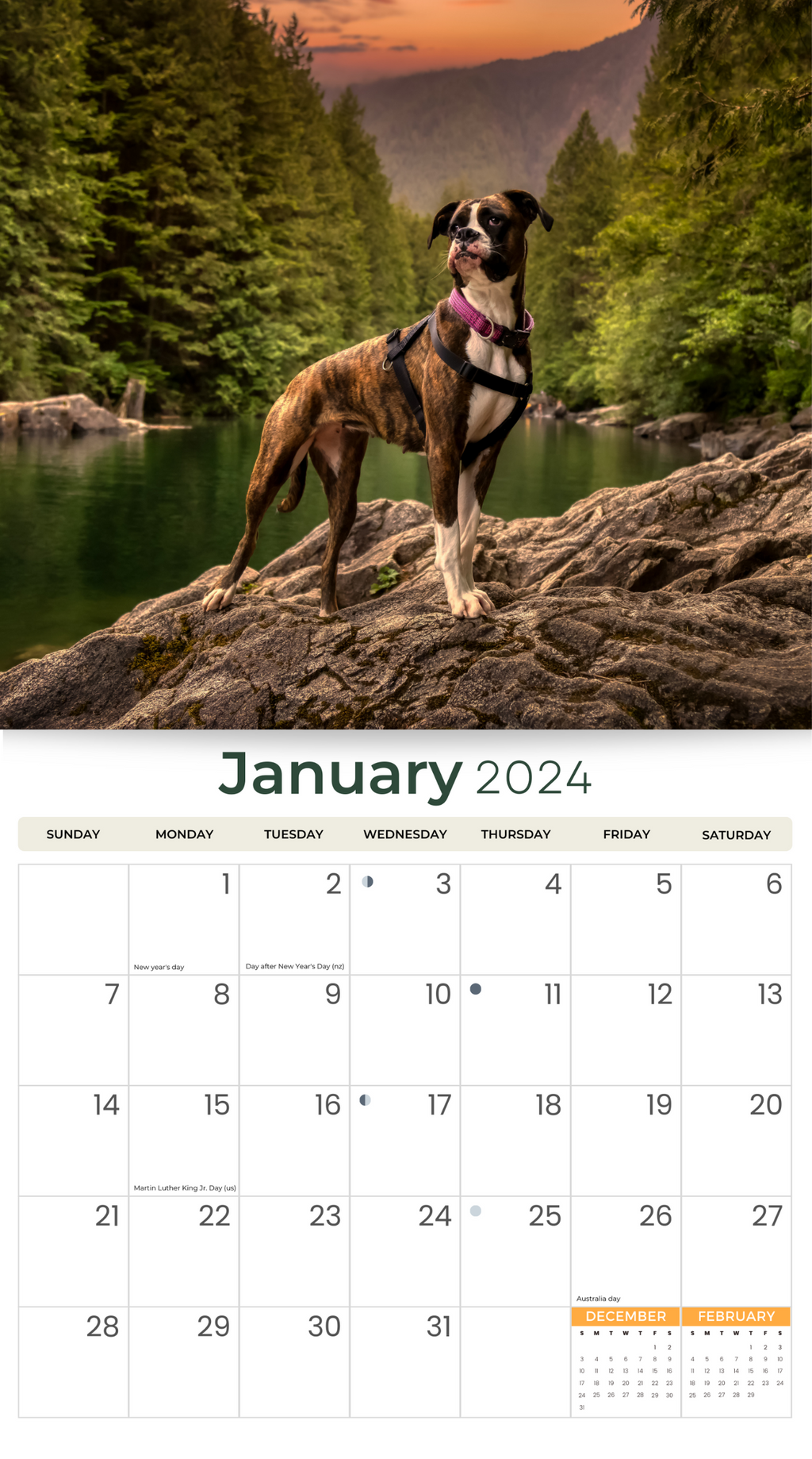 2024 Boxers Deluxe Wall Calendar Dogs & Puppies Calendars By Just