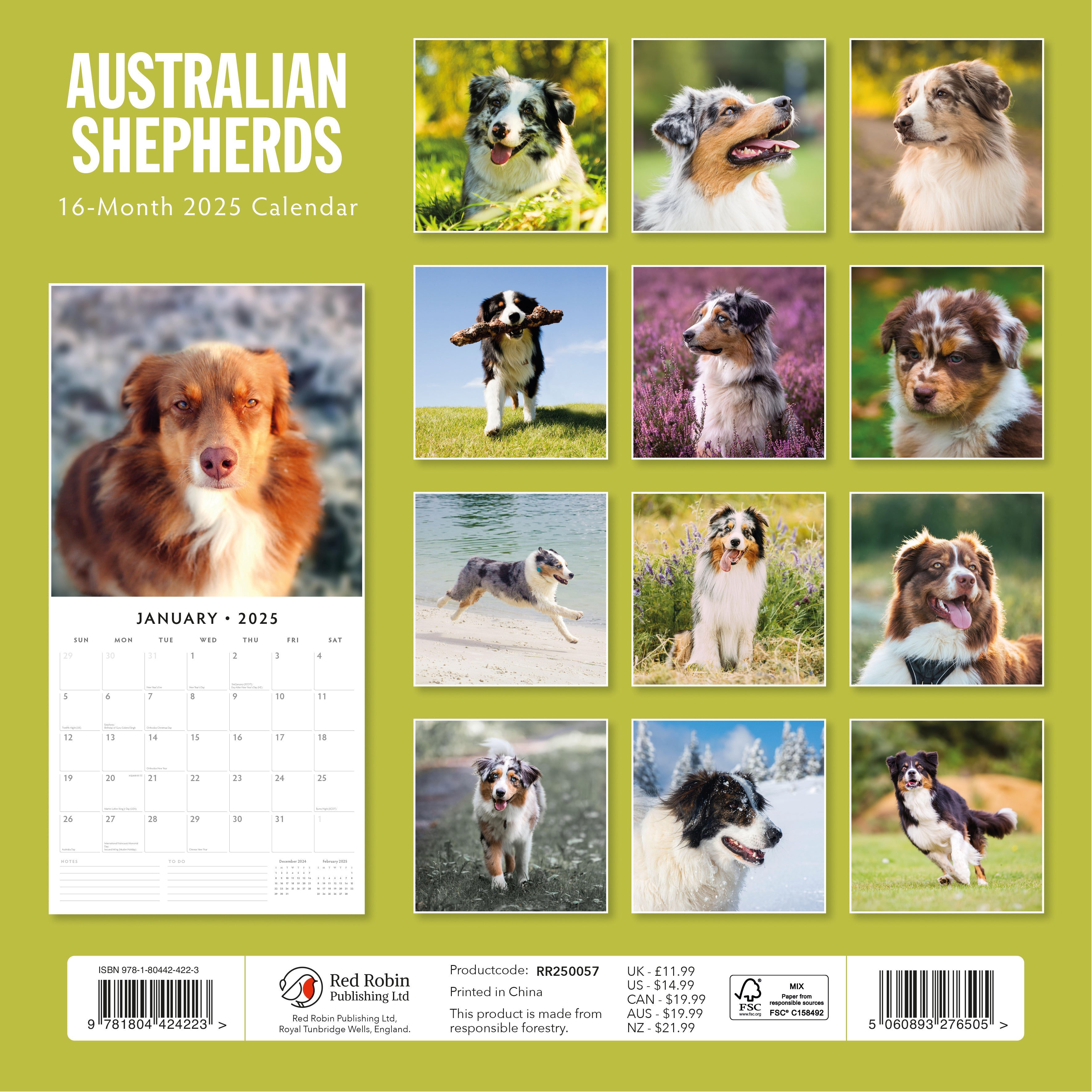 2025 Australian Shepherds - Square Wall Calendar