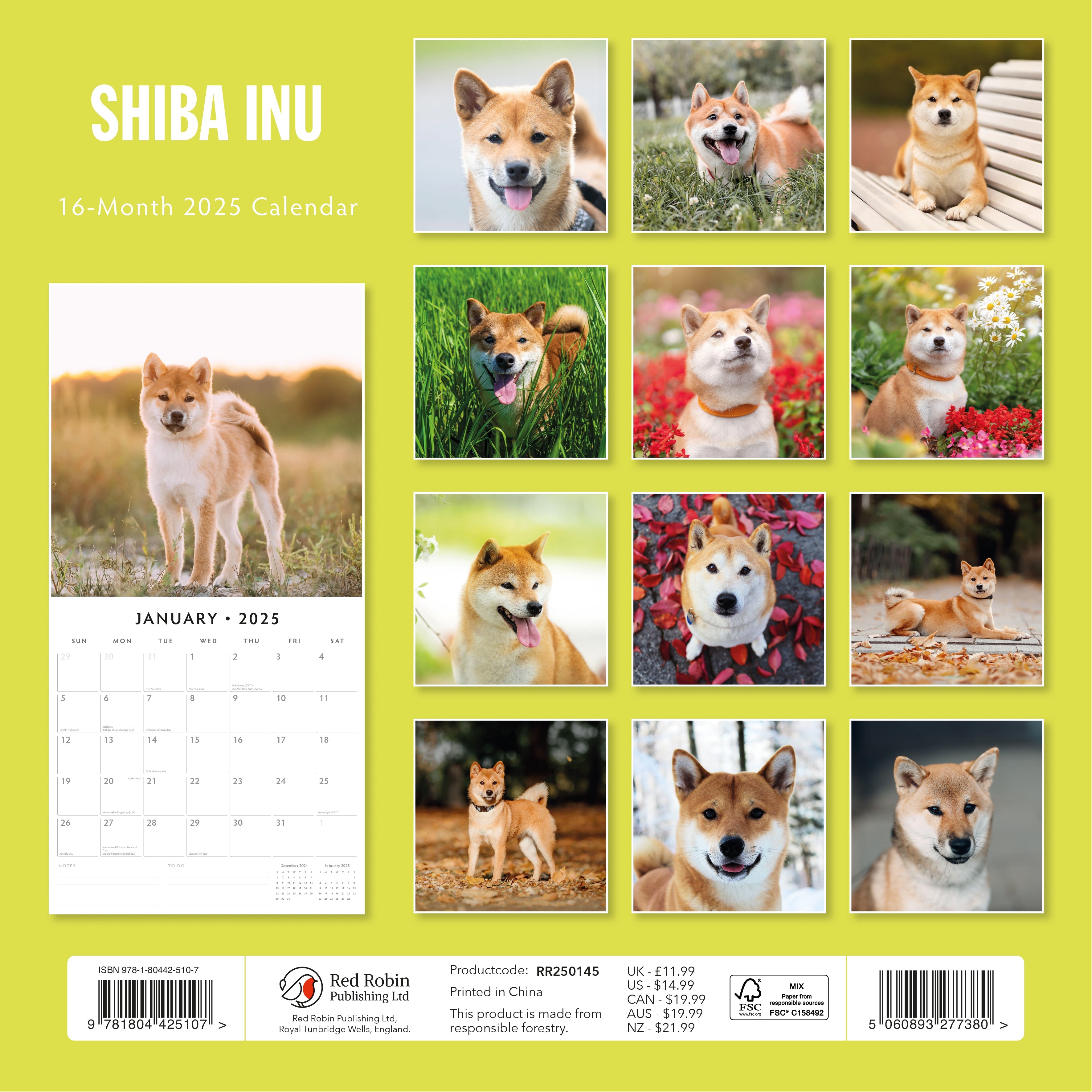 2025 Shiba Inu - Square Wall Calendar
