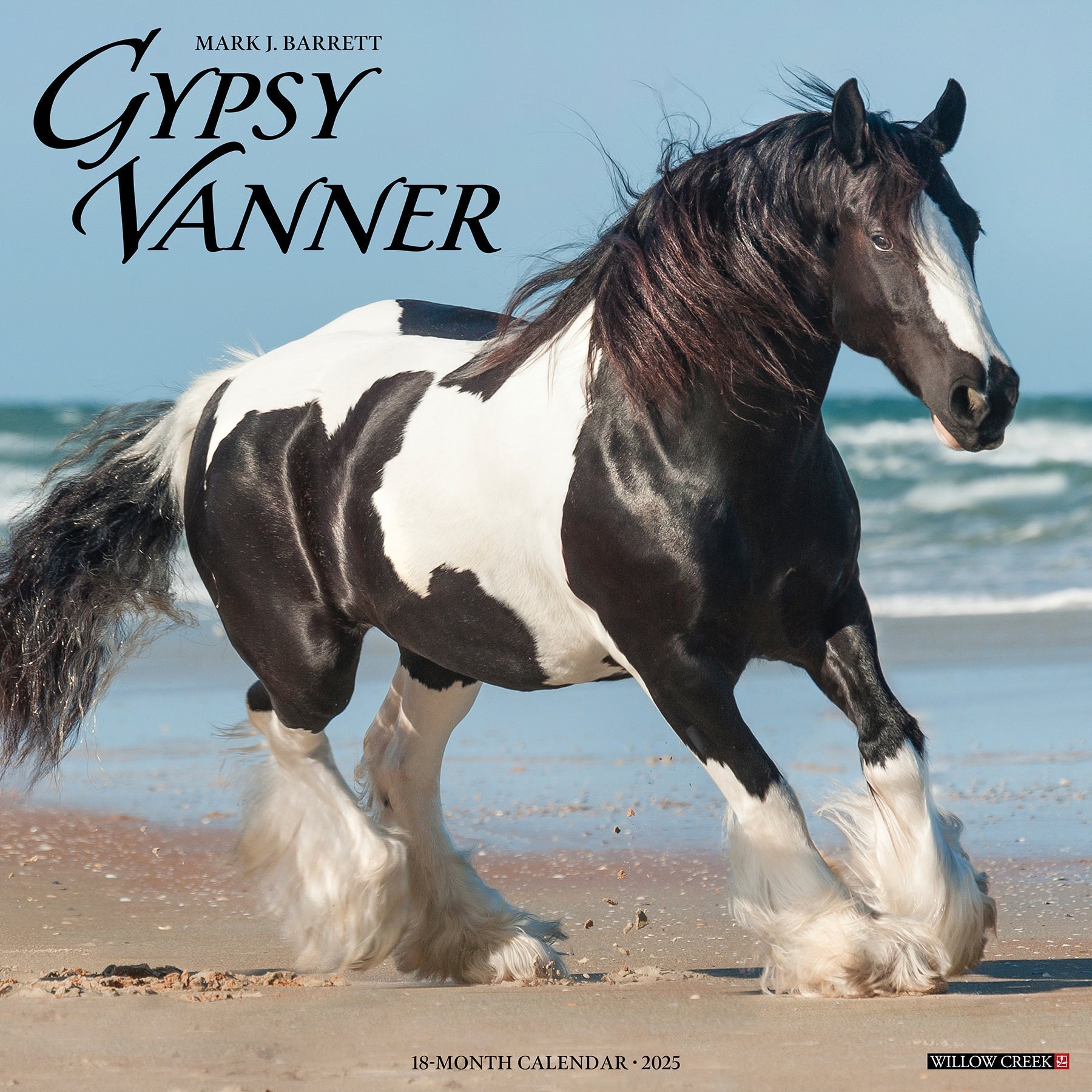 2025 Gypsy Vanner Horse - Square Wall Calendar