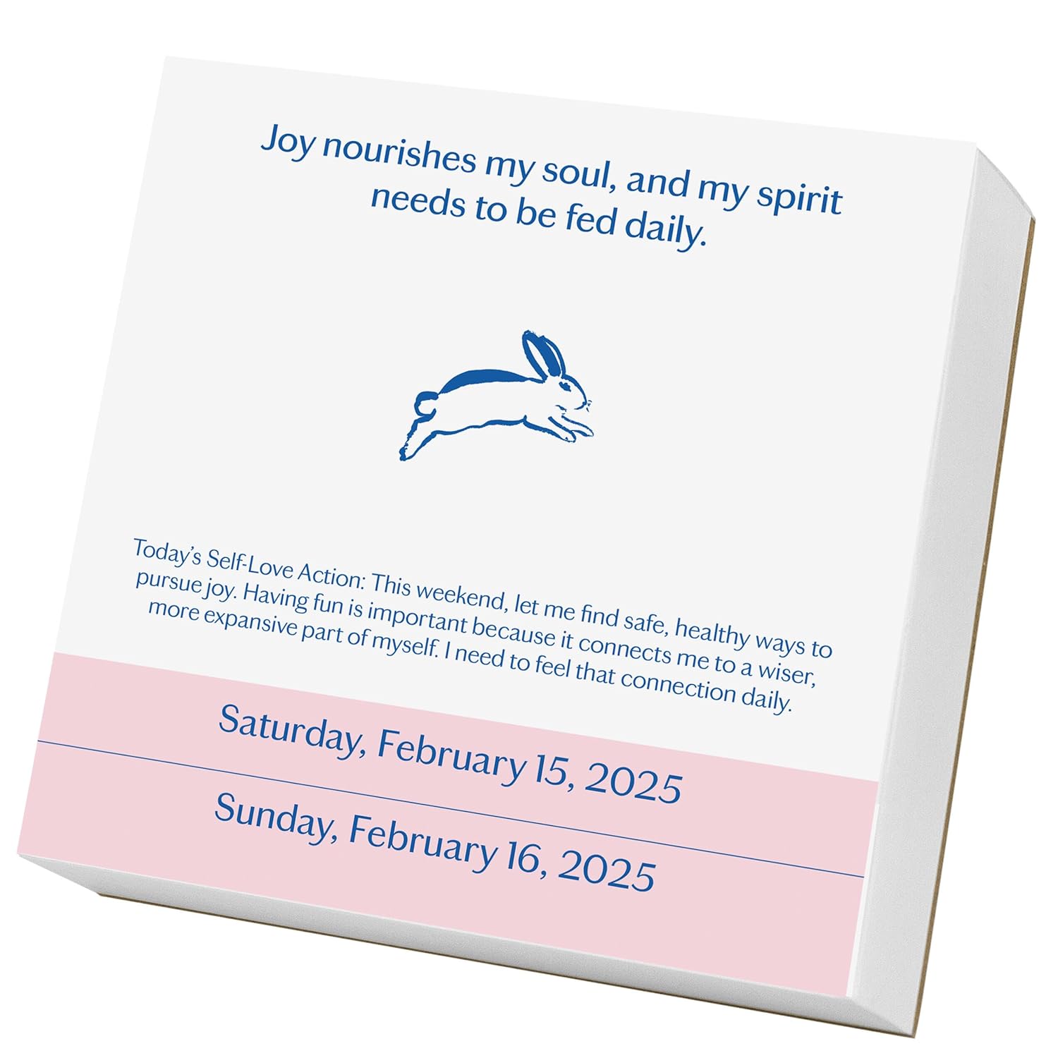 2025 Year of Self-Love - Daily Boxed Page-A-Day Calendar