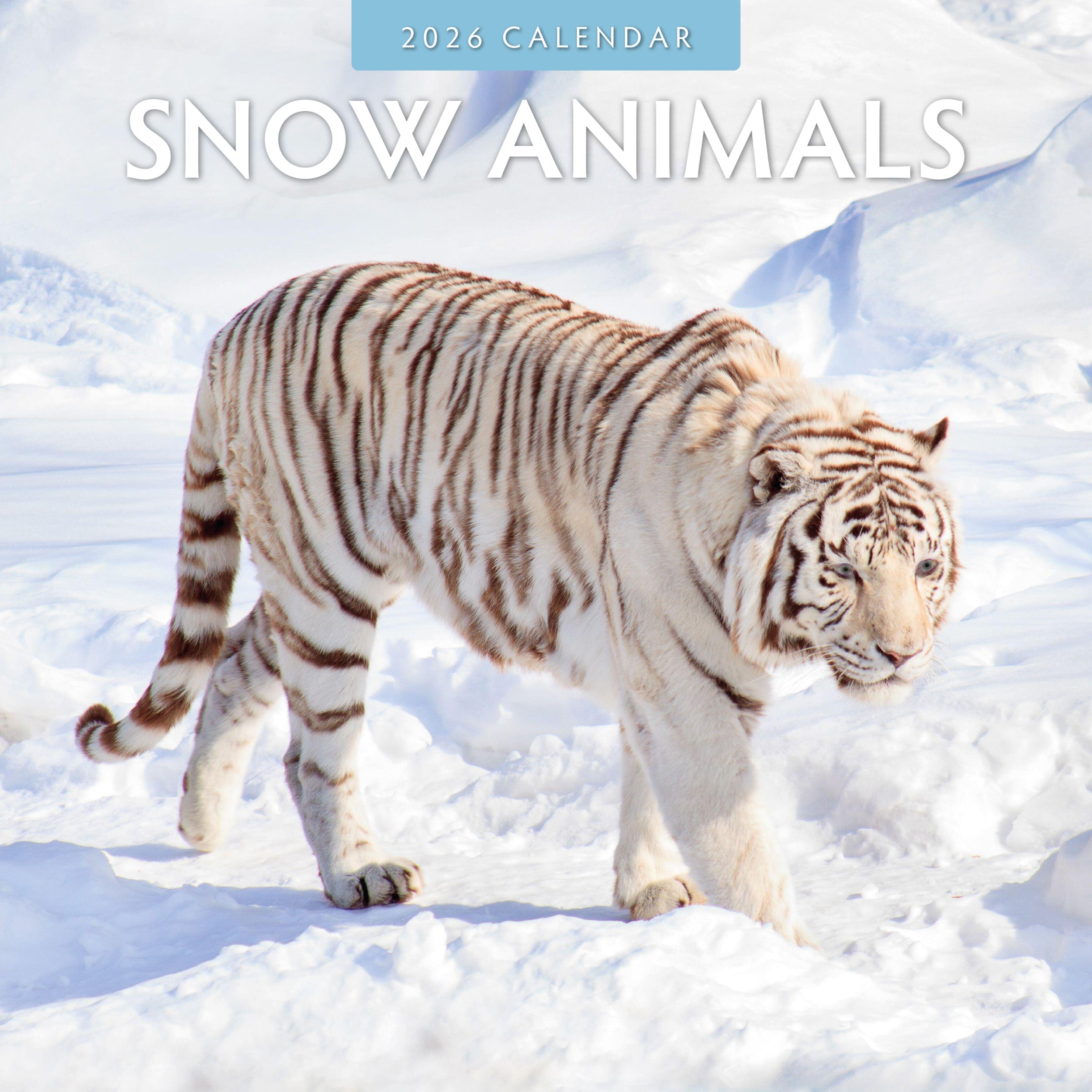 2026 Snow Animals - Square Wall Calendar