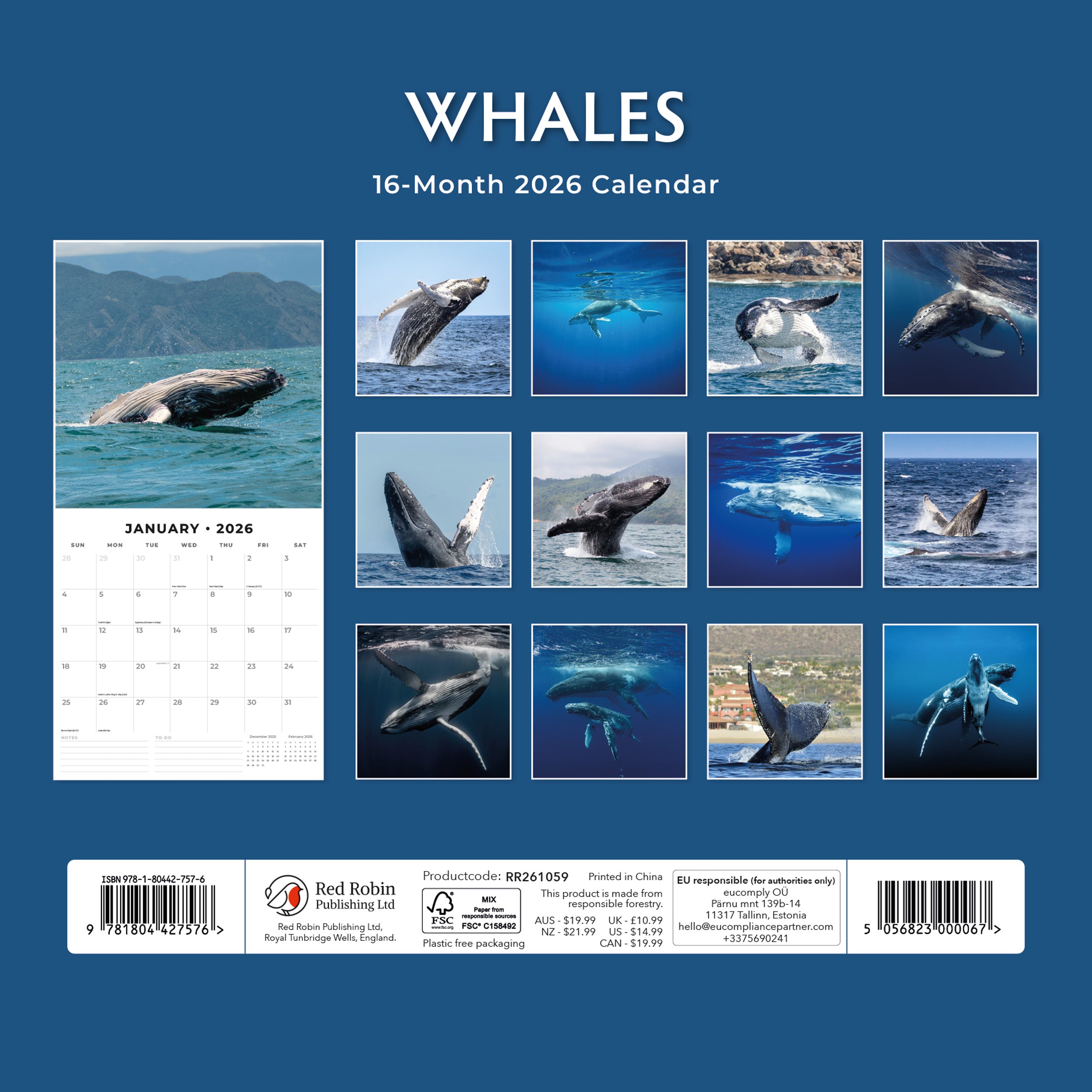 2026 Whales - Square Wall Calendar