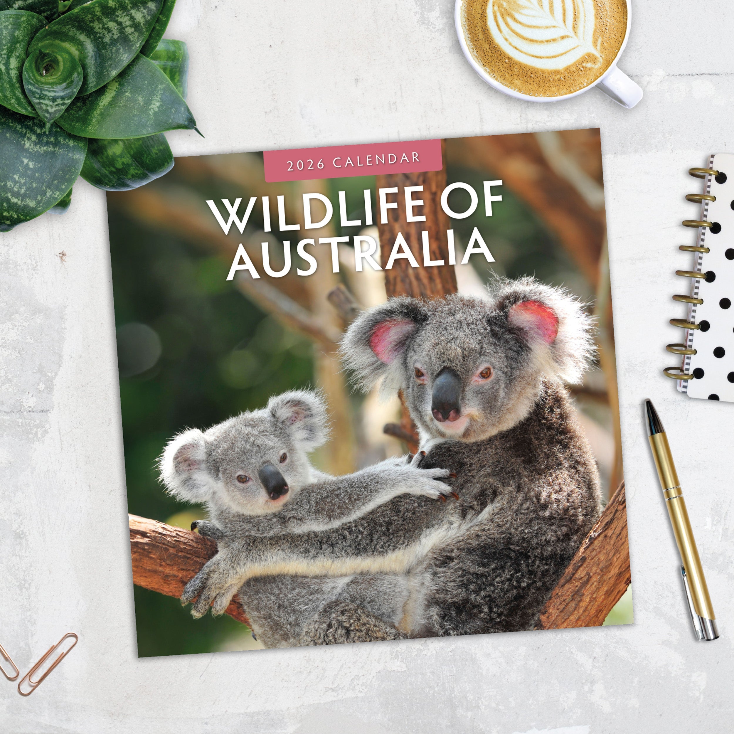 2026 Wildlife of Australia - Square Wall Calendar