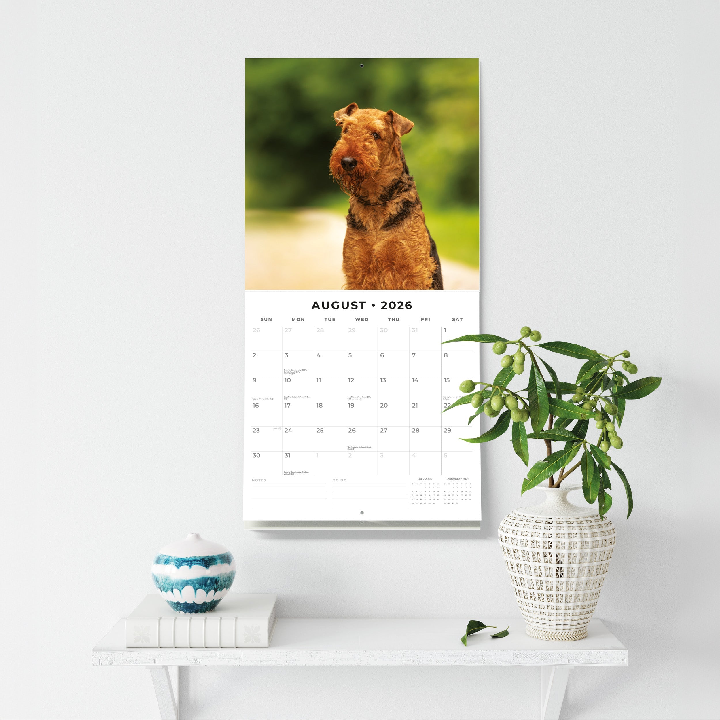 2026 Airedale Terriers - Square Wall Calendar
