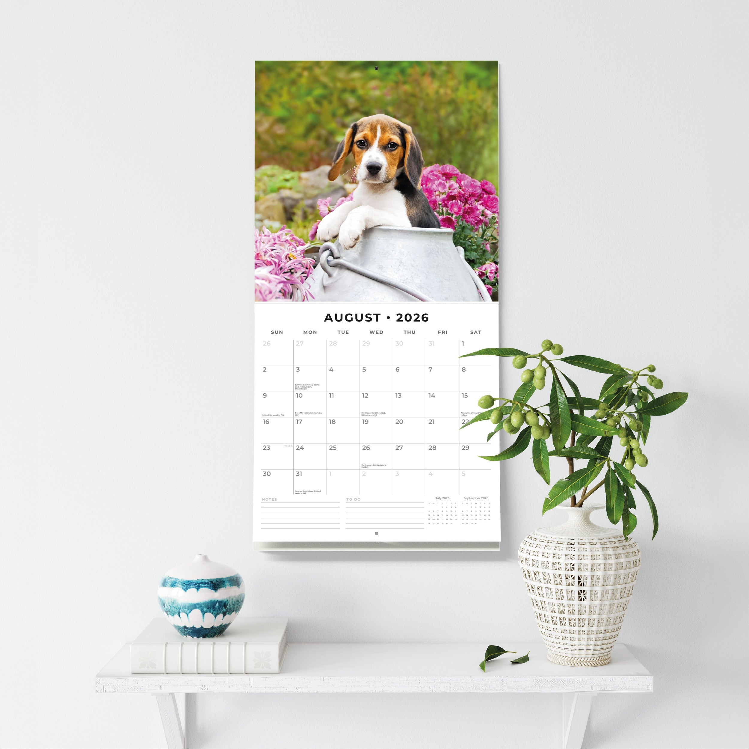 2026 Beagles - Square Wall Calendar