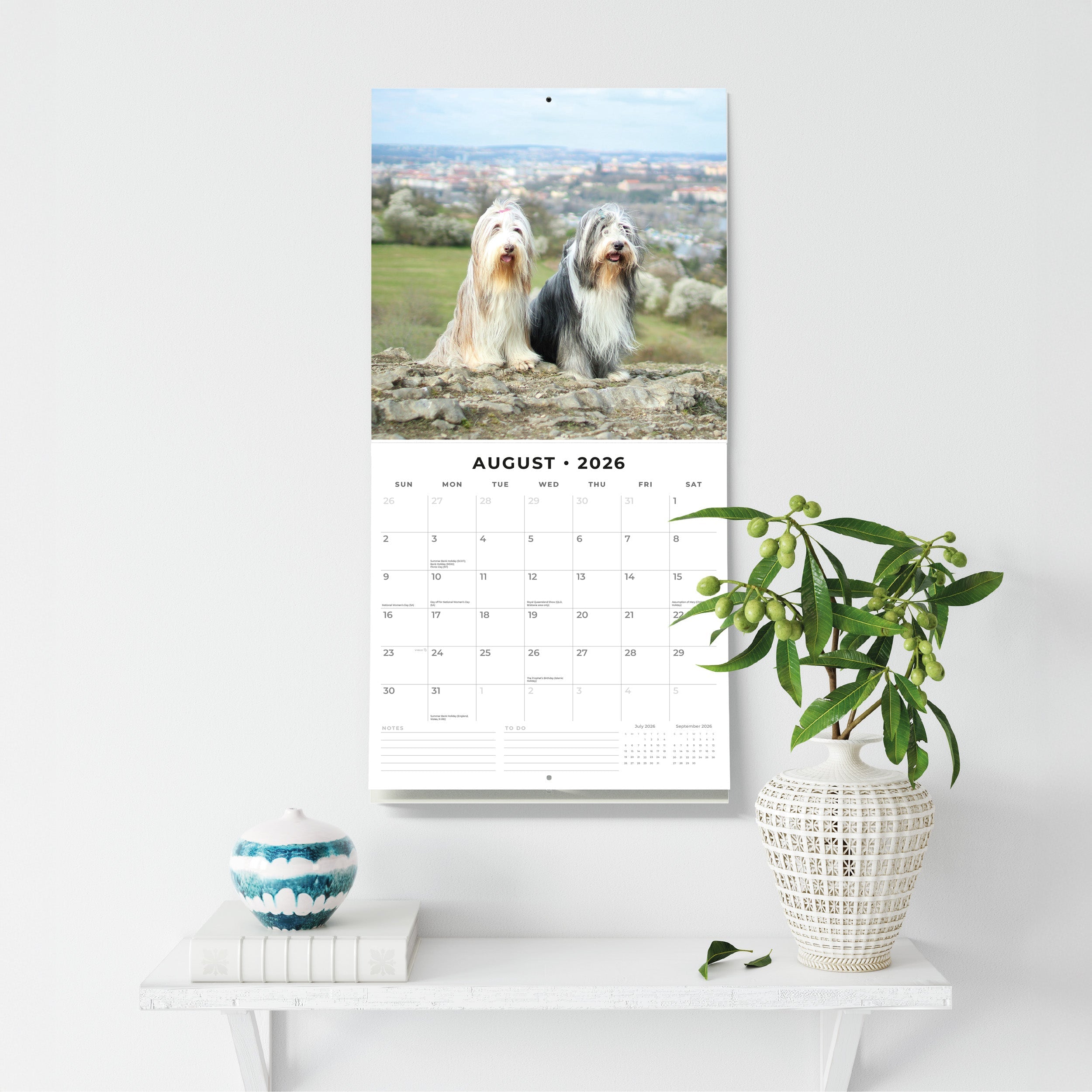 2026 Bearded Collies - Square Wall Calendar