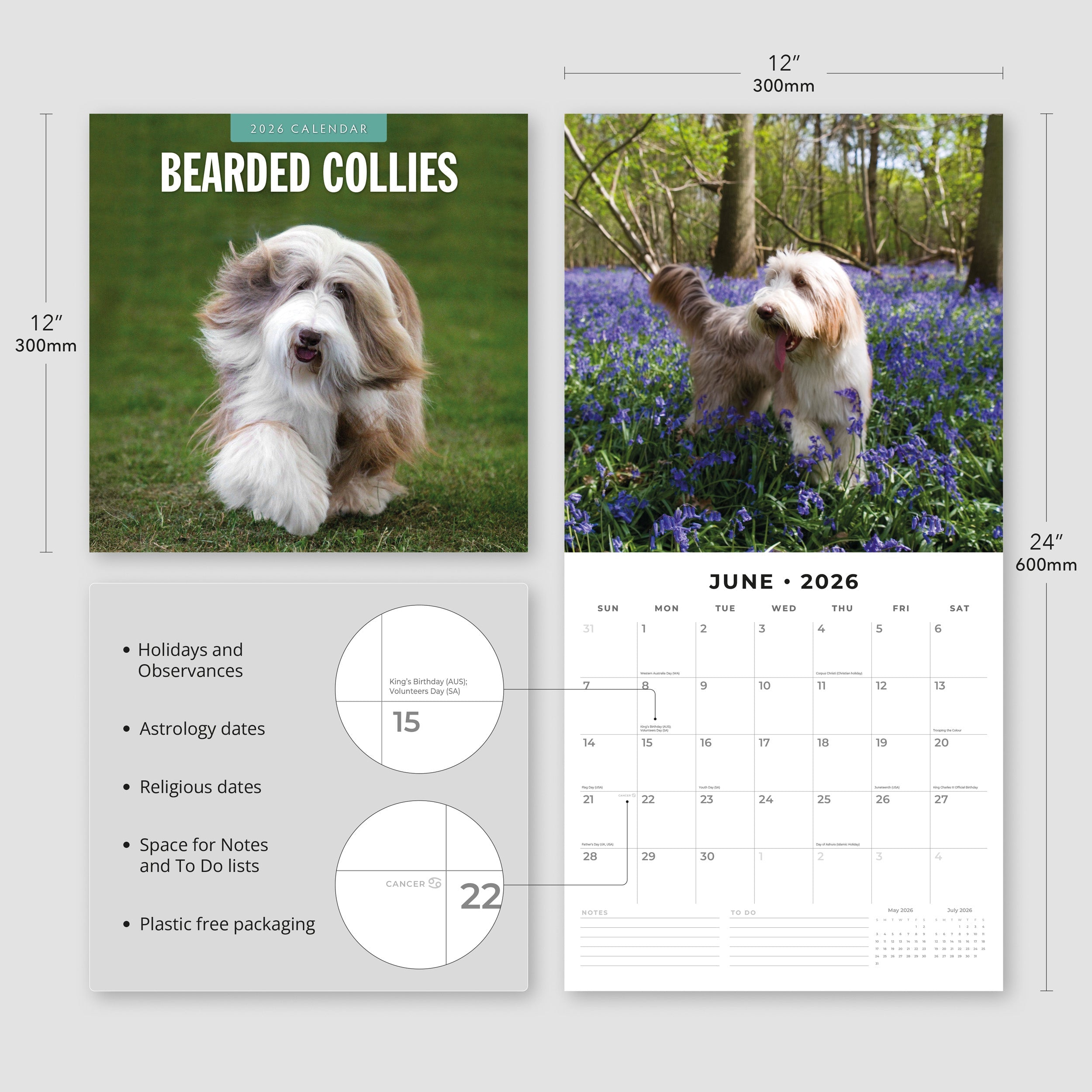 2026 Bearded Collies - Square Wall Calendar