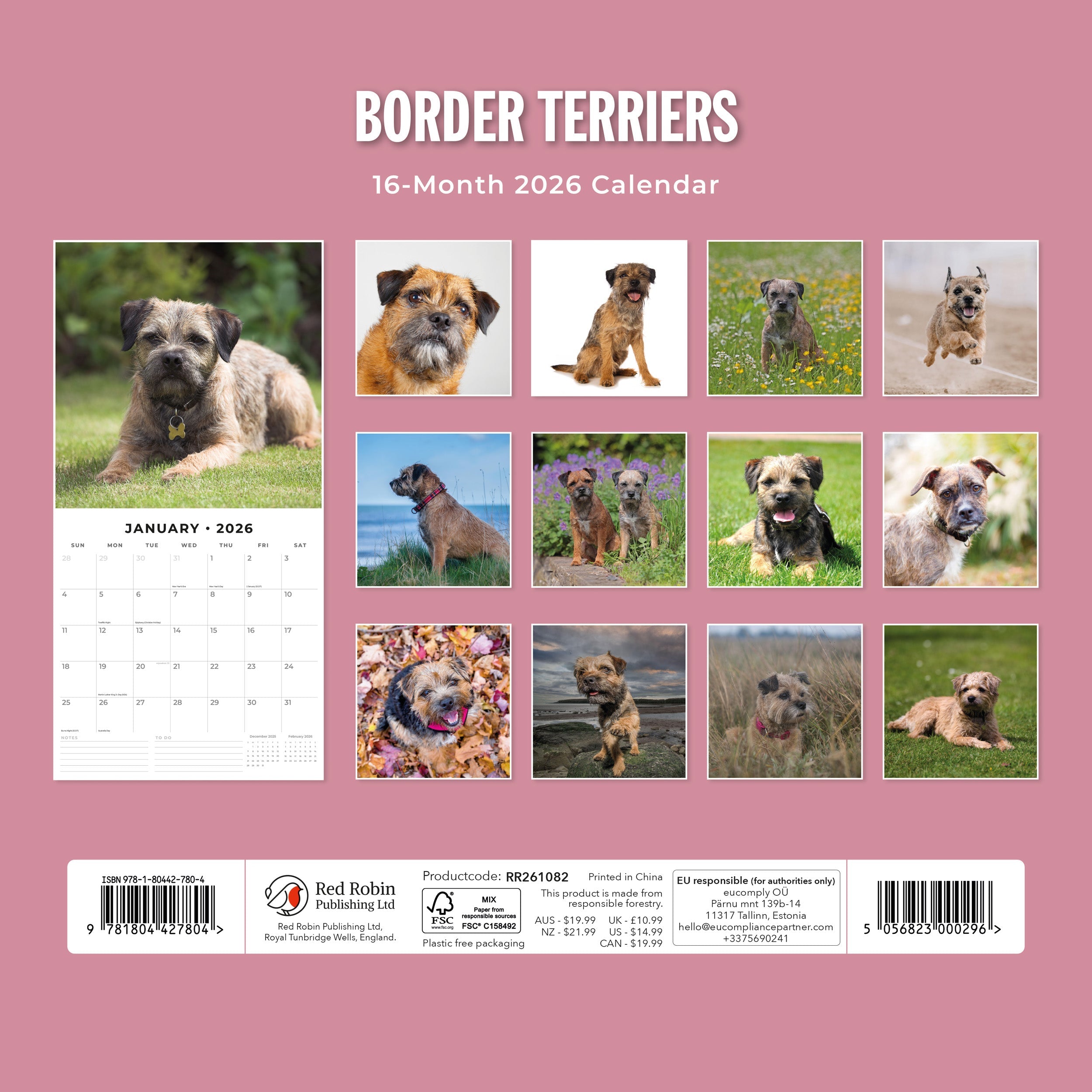 2026 Border Terriers - Square Wall Calendar