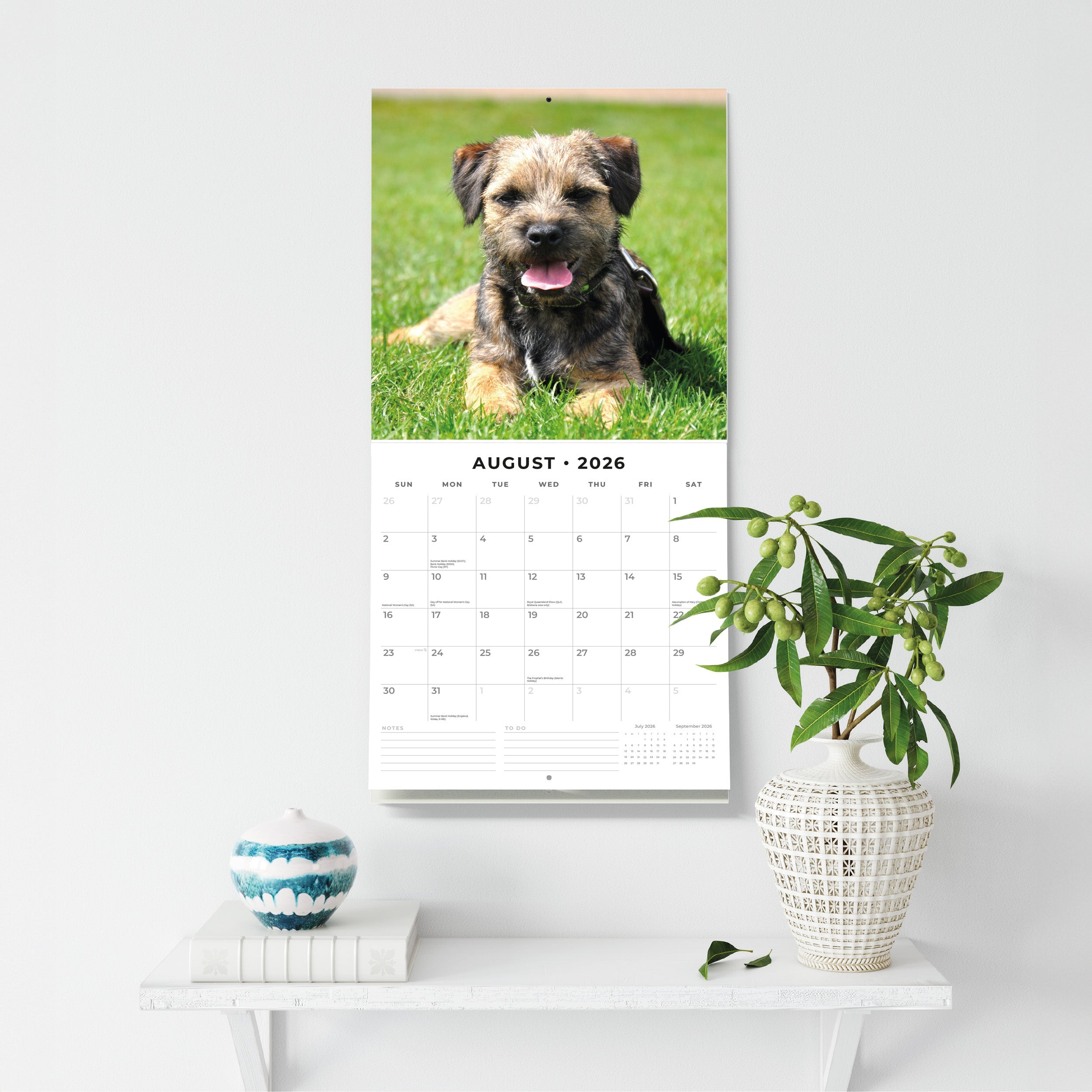 2026 Border Terriers - Square Wall Calendar