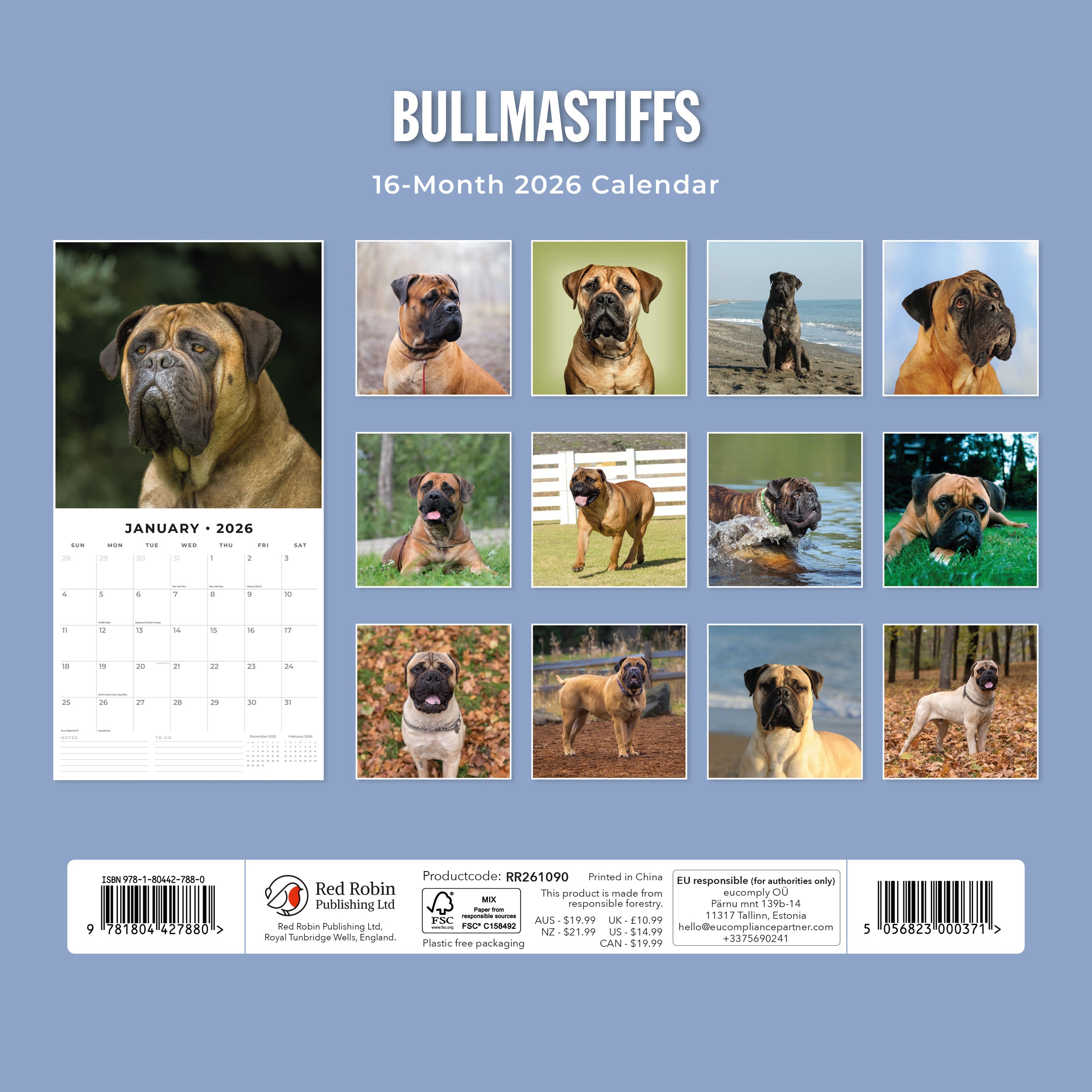 2026 Bullmastiffs - Square Wall Calendar