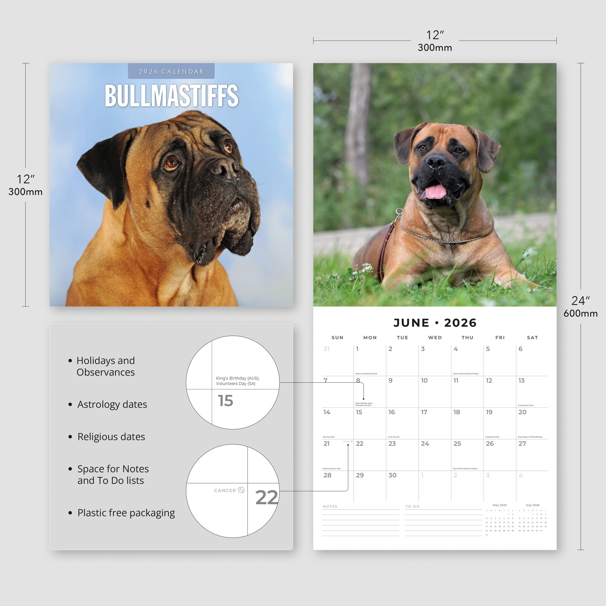2026 Bullmastiffs - Square Wall Calendar