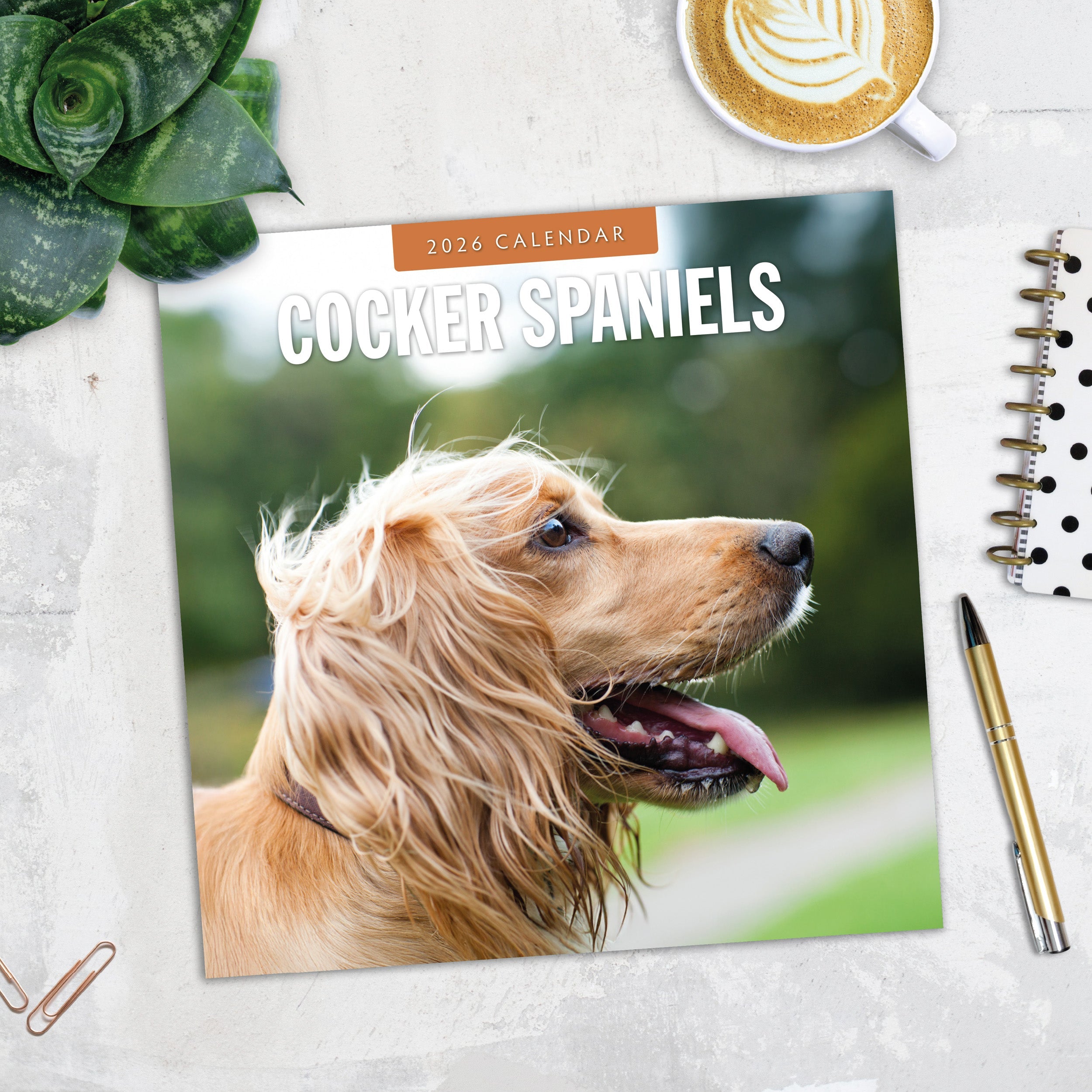 2026 Cocker Spaniels - Square Wall Calendar