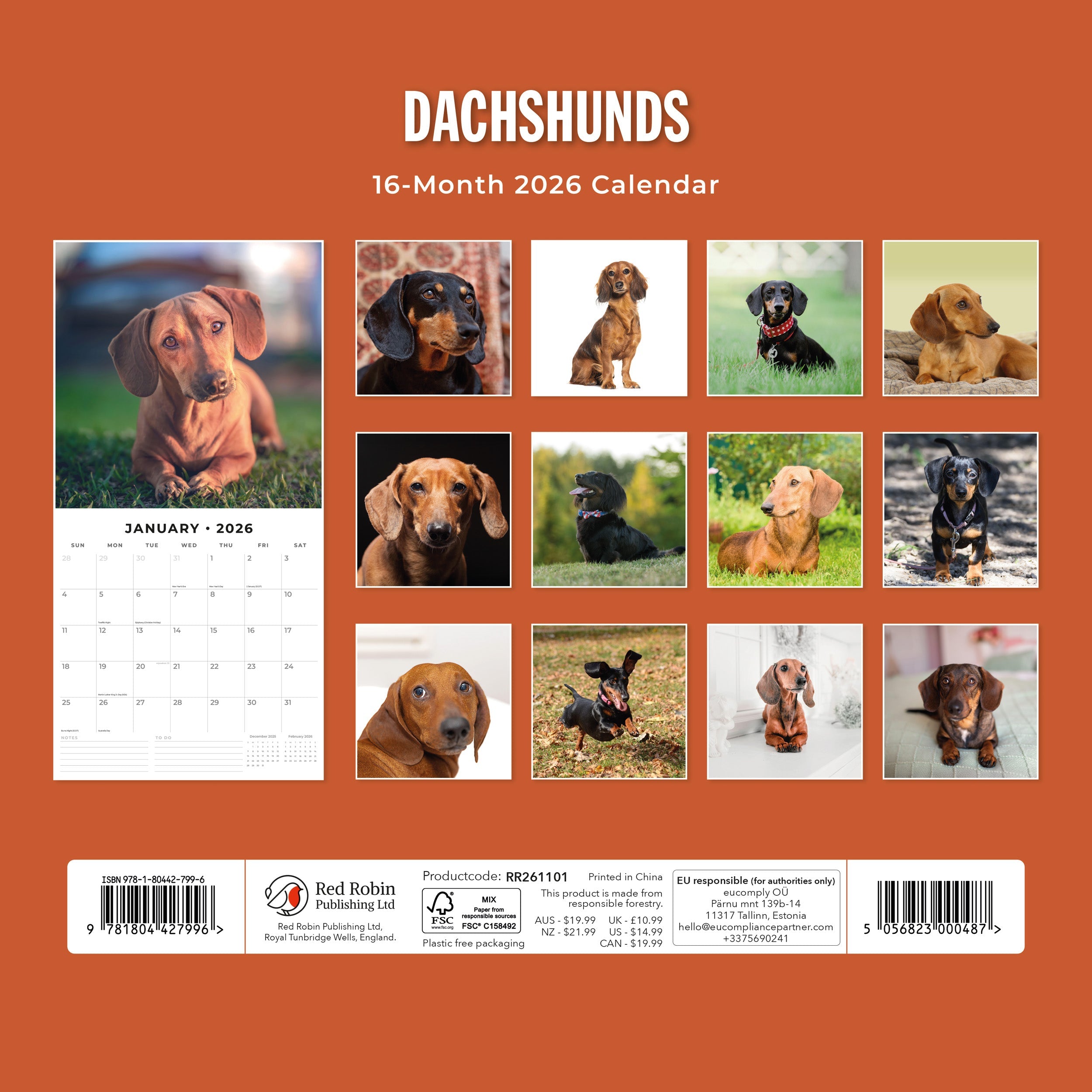 2026 Dachshunds - Square Wall Calendar
