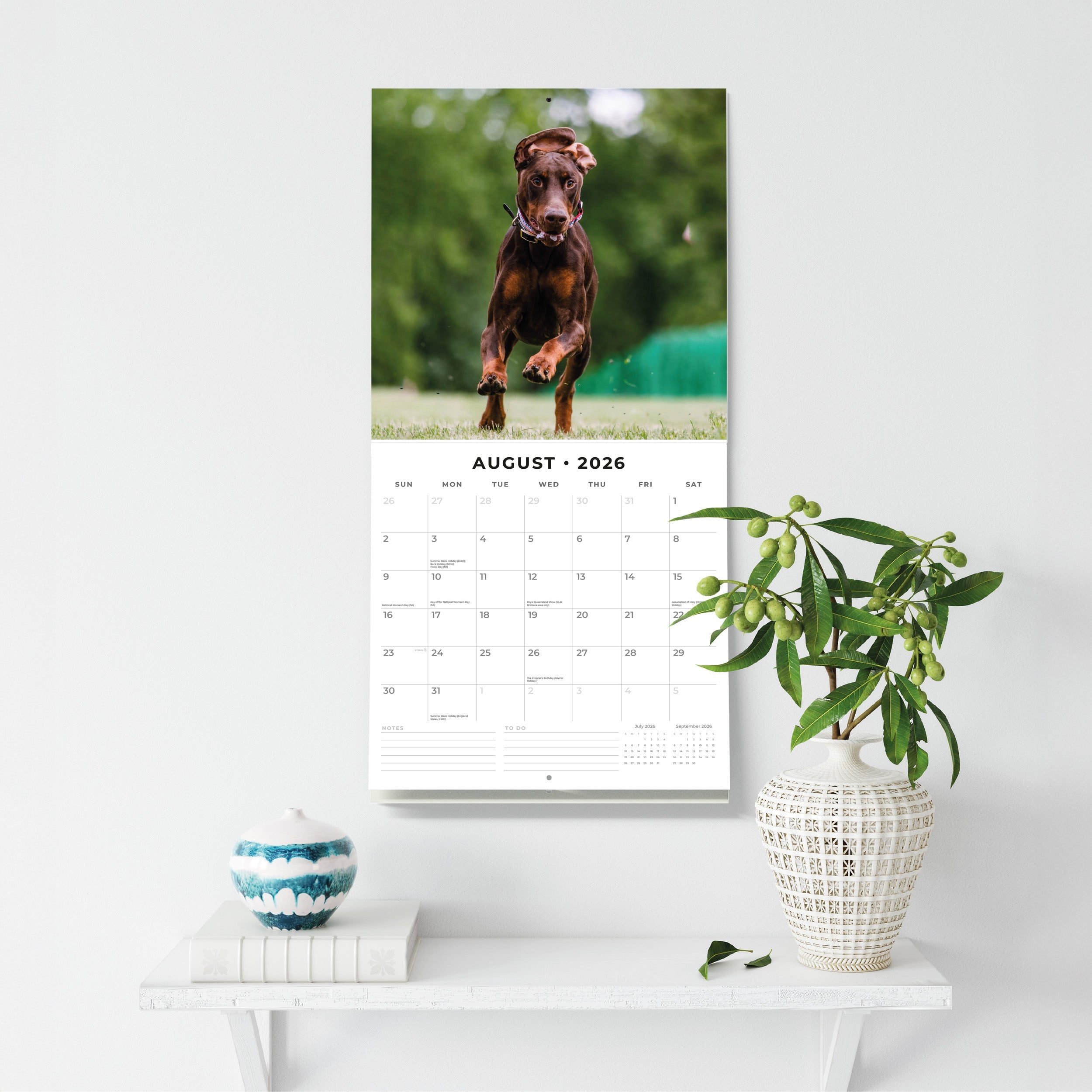 2026 Dobermans - Square Wall Calendar