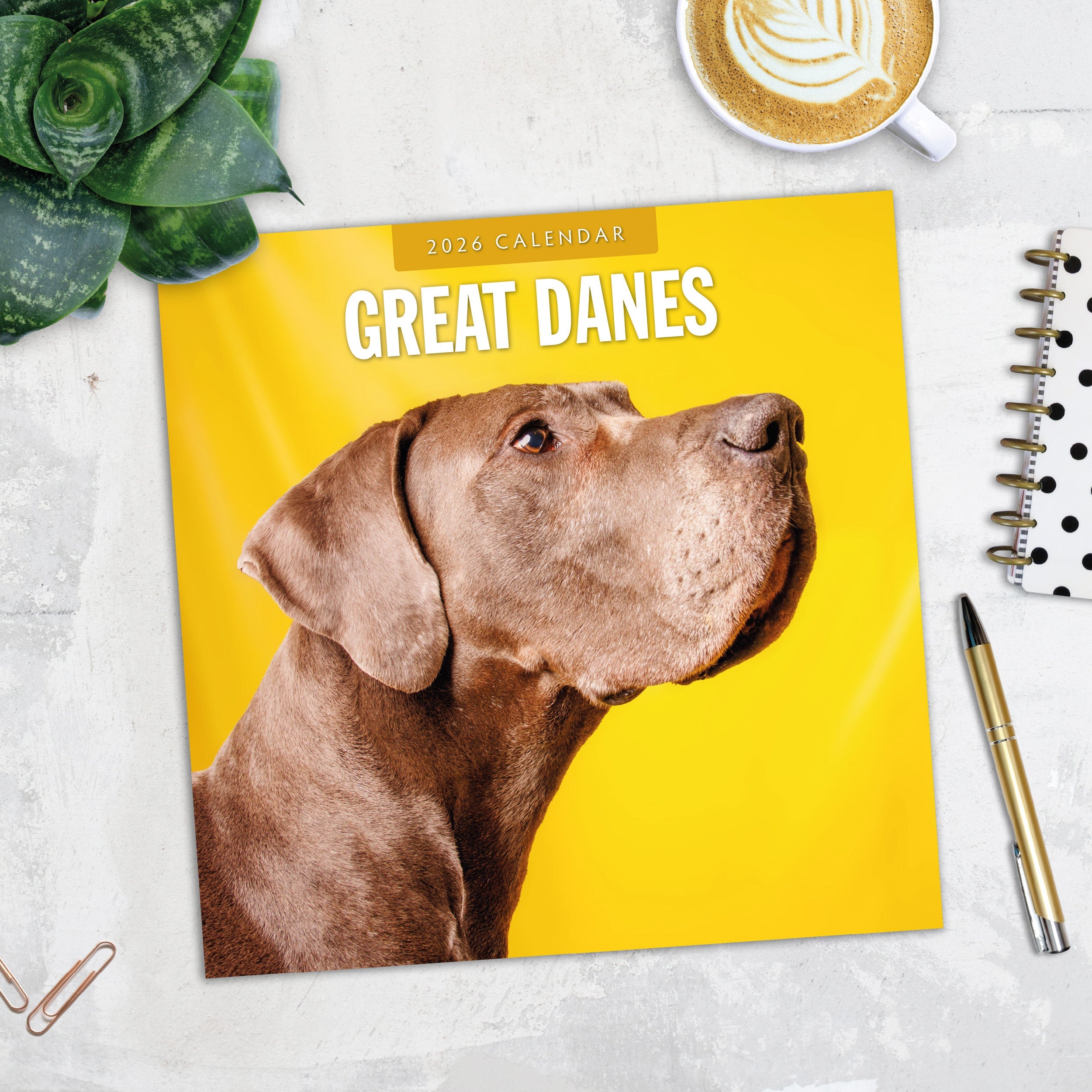 2026 Great Danes - Square Wall Calendar