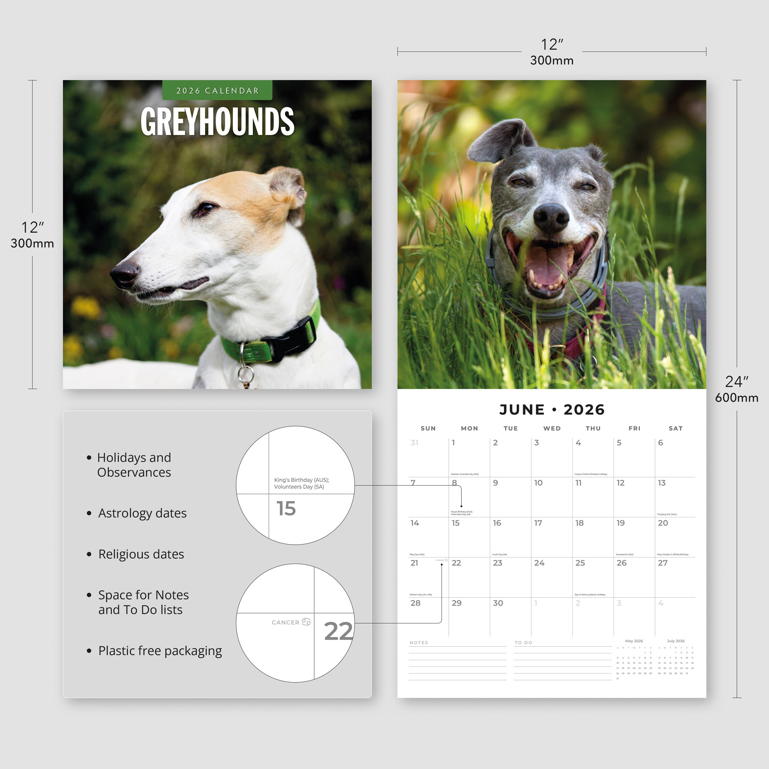 2026 Greyhounds - Square Wall Calendar