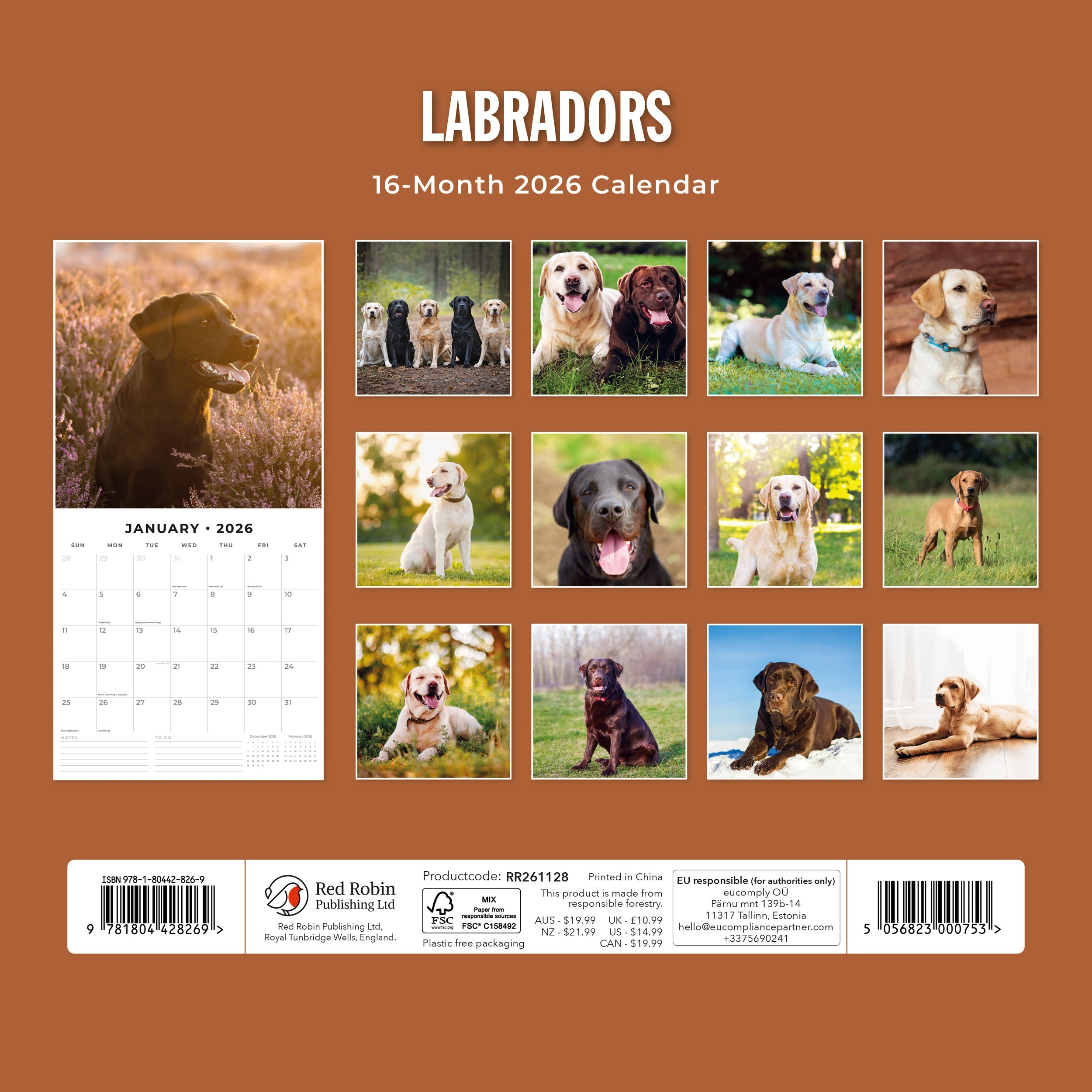 2026 Labradors - Square Wall Calendar