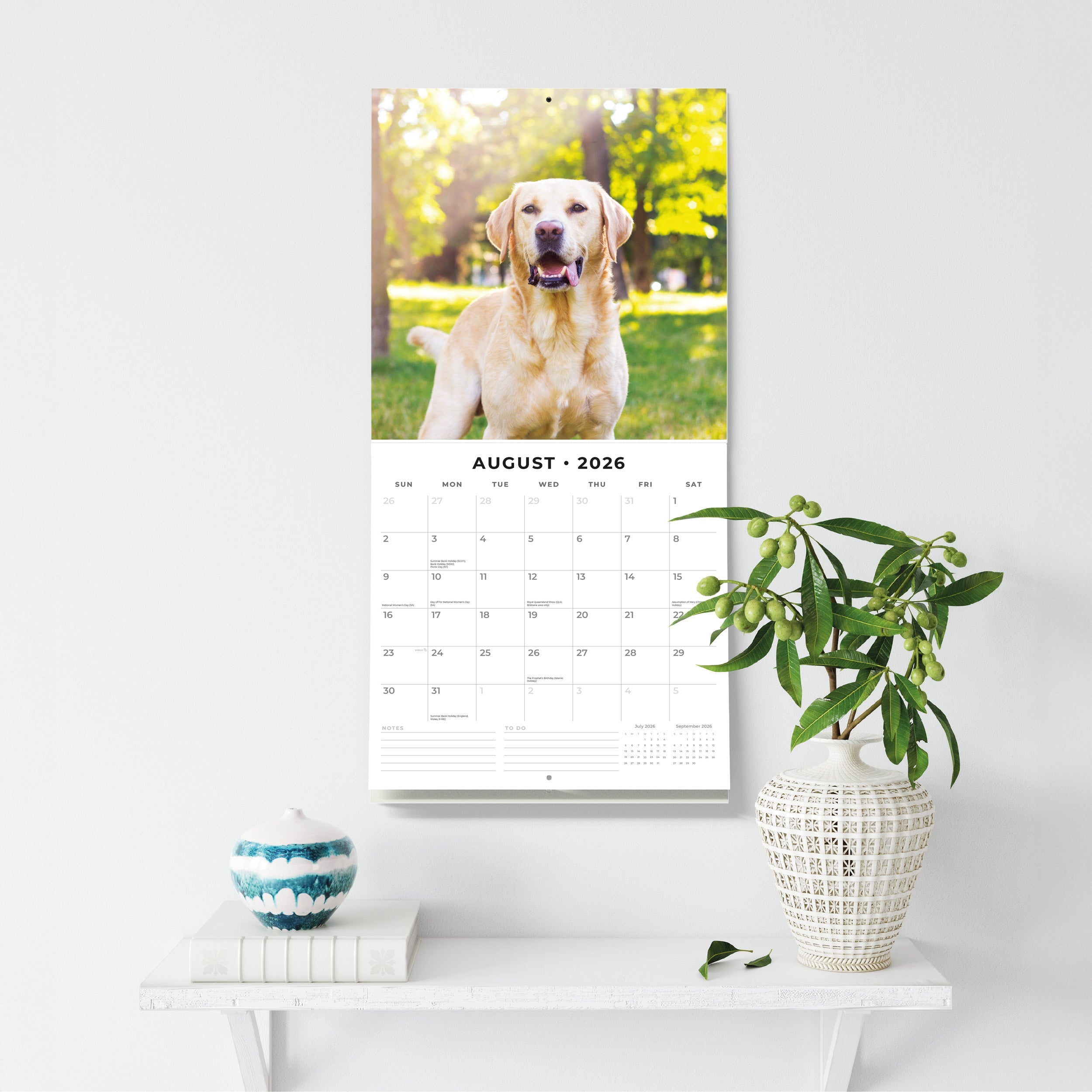 2026 Labradors - Square Wall Calendar
