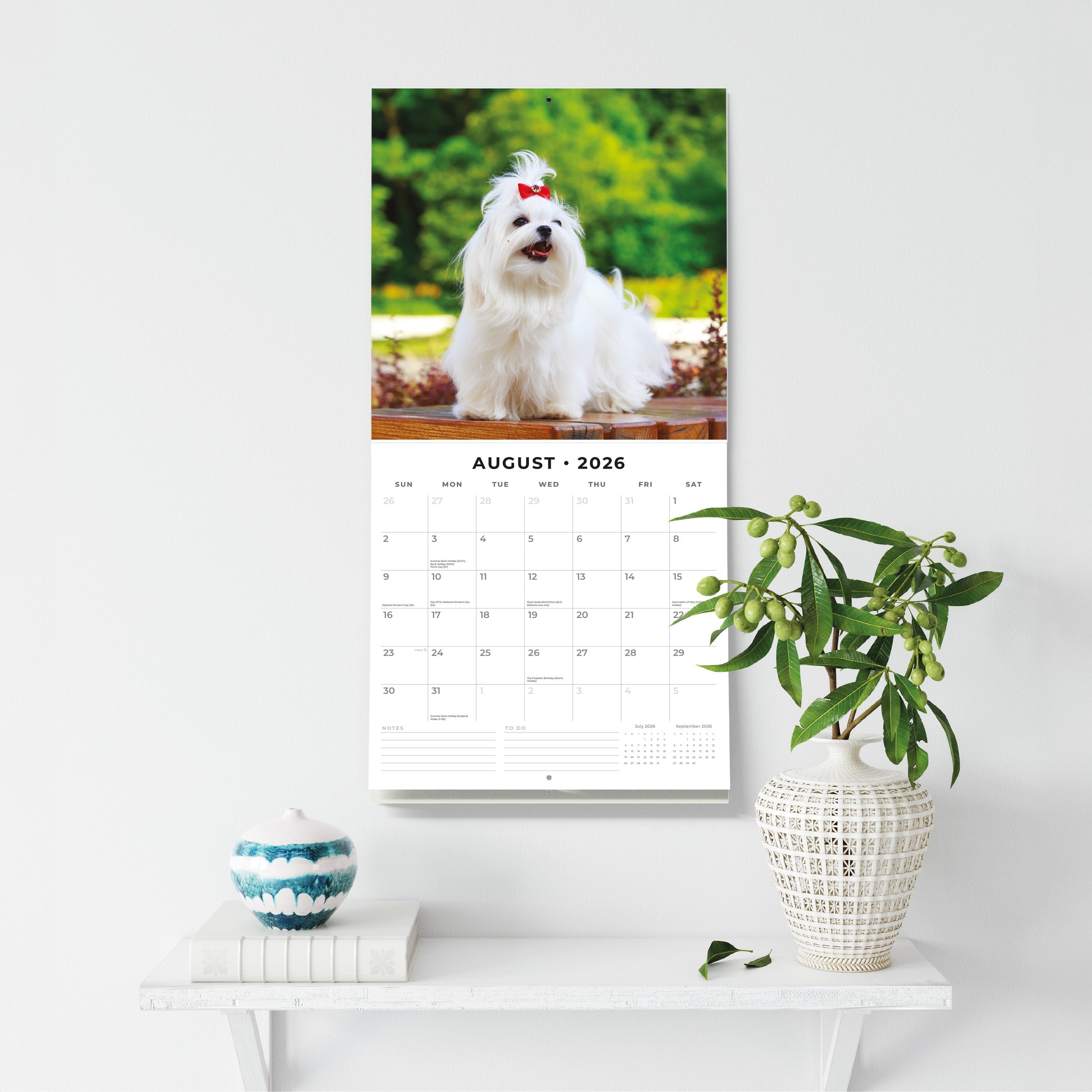 2026 Maltese - Square Wall Calendar